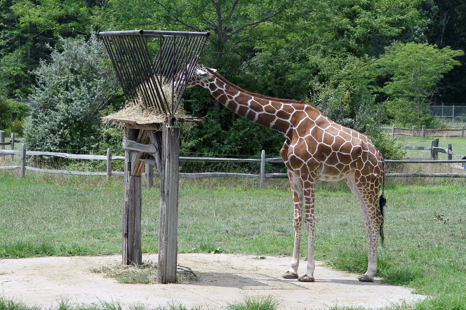 Cape May County Park & Zoo