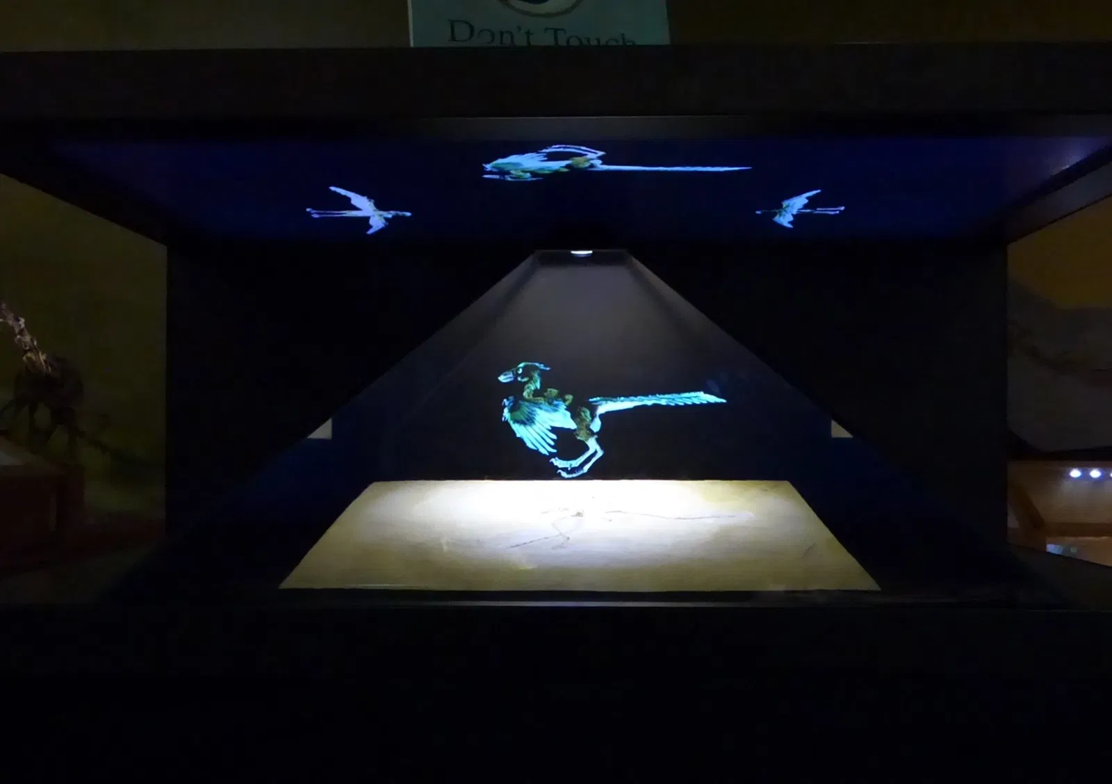 Wyoming Dinosaur Center