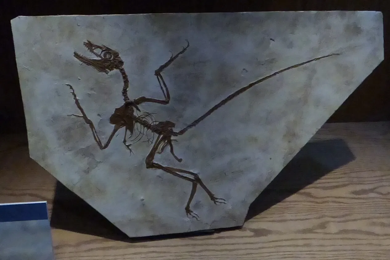 Wyoming Dinosaur Center