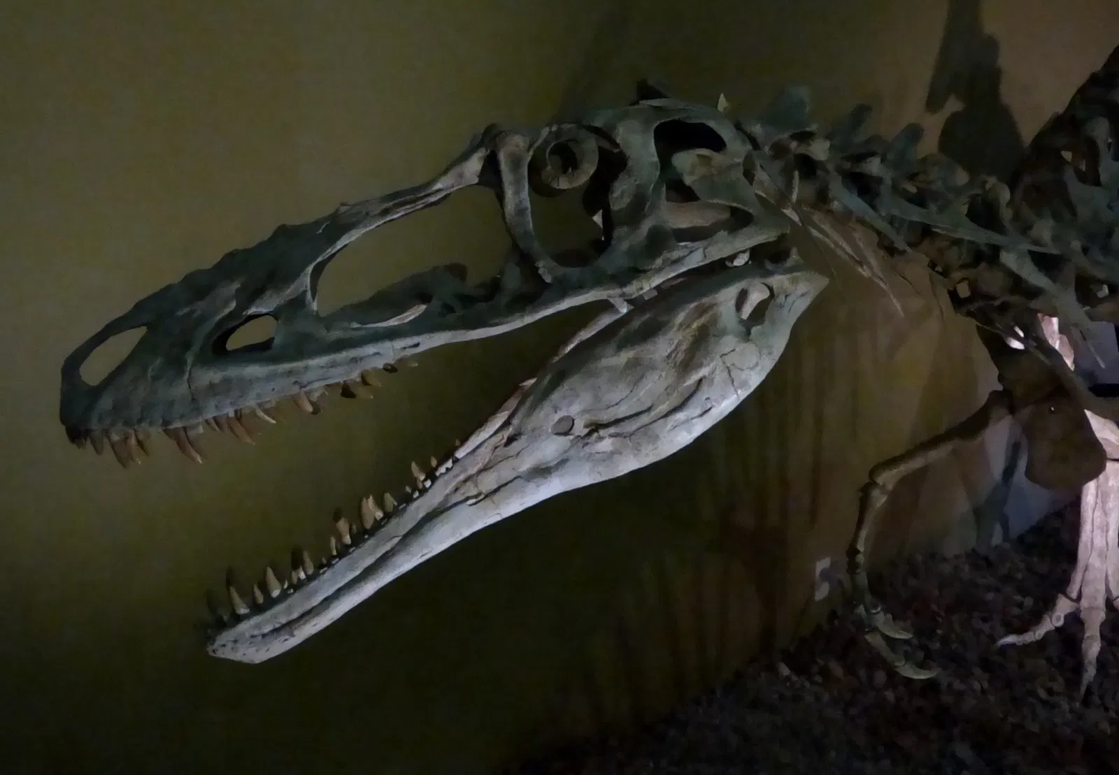 Wyoming Dinosaur Center