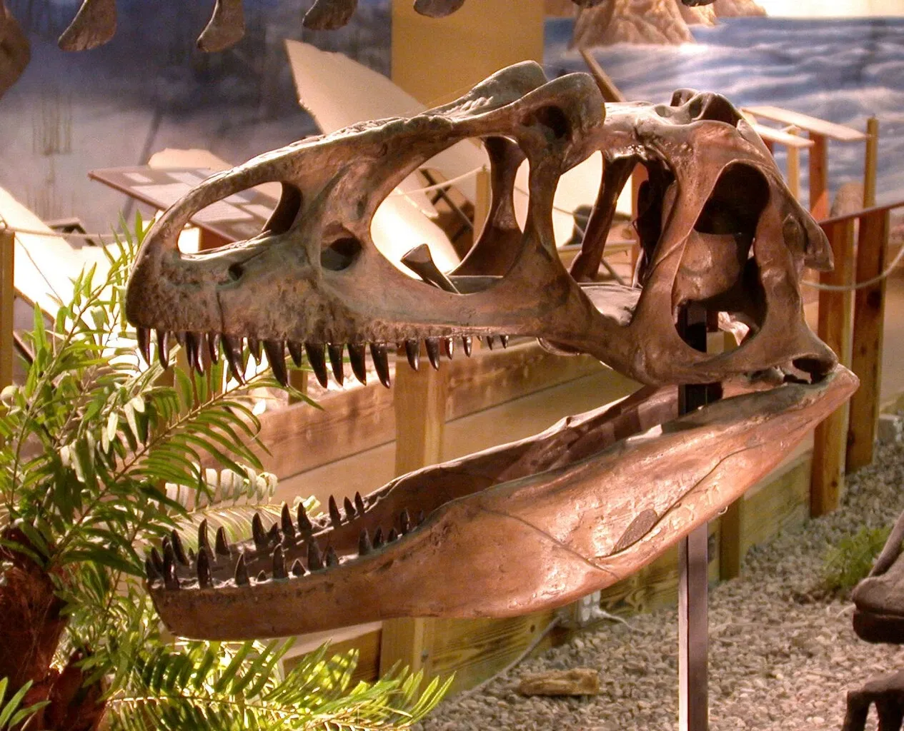 Wyoming Dinosaur Center