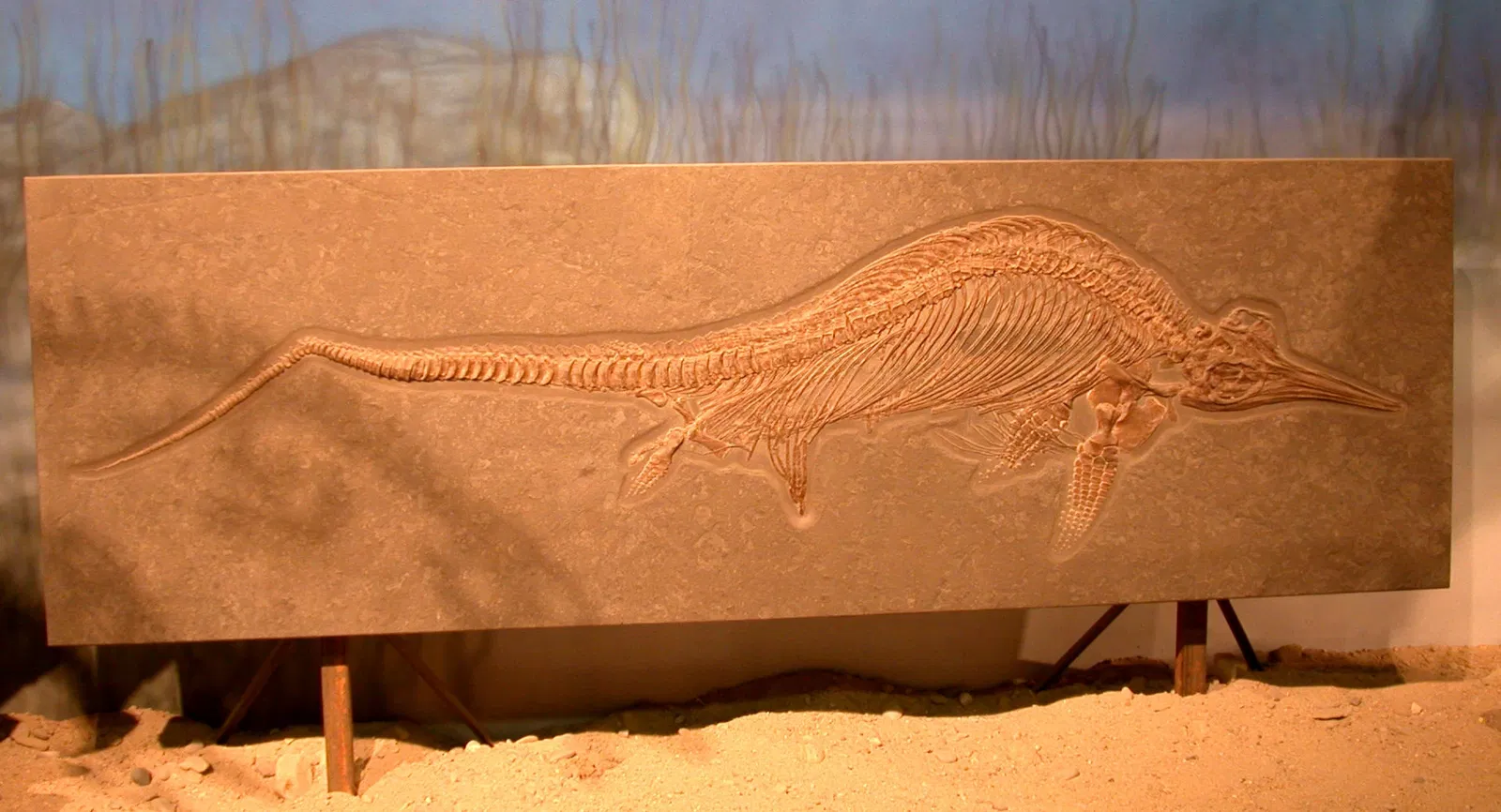 Wyoming Dinosaur Center