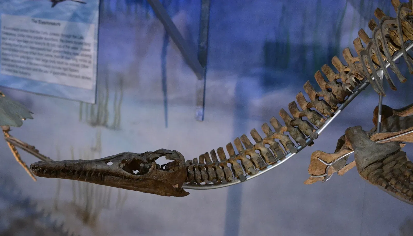 Wyoming Dinosaur Center