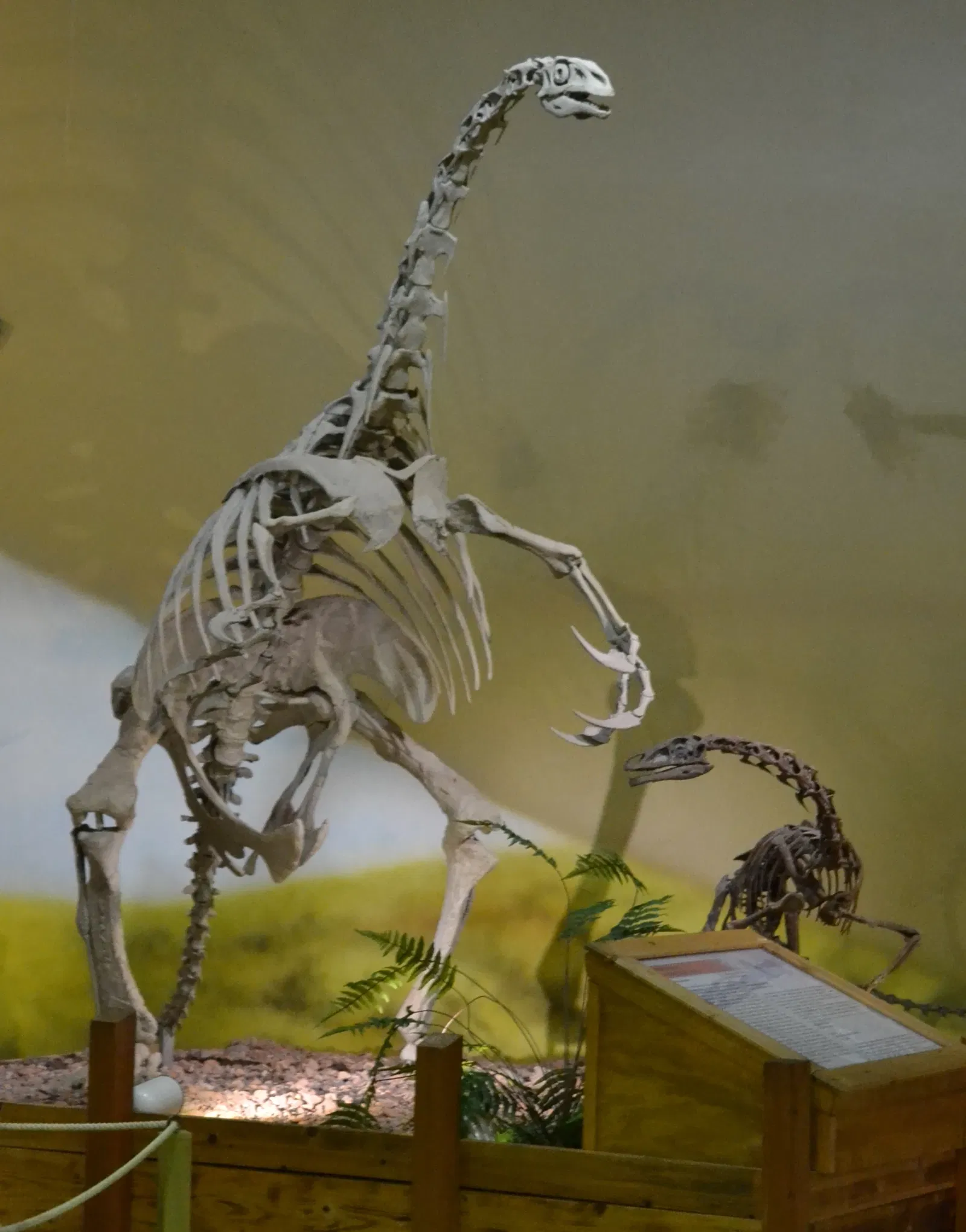 Wyoming Dinosaur Center