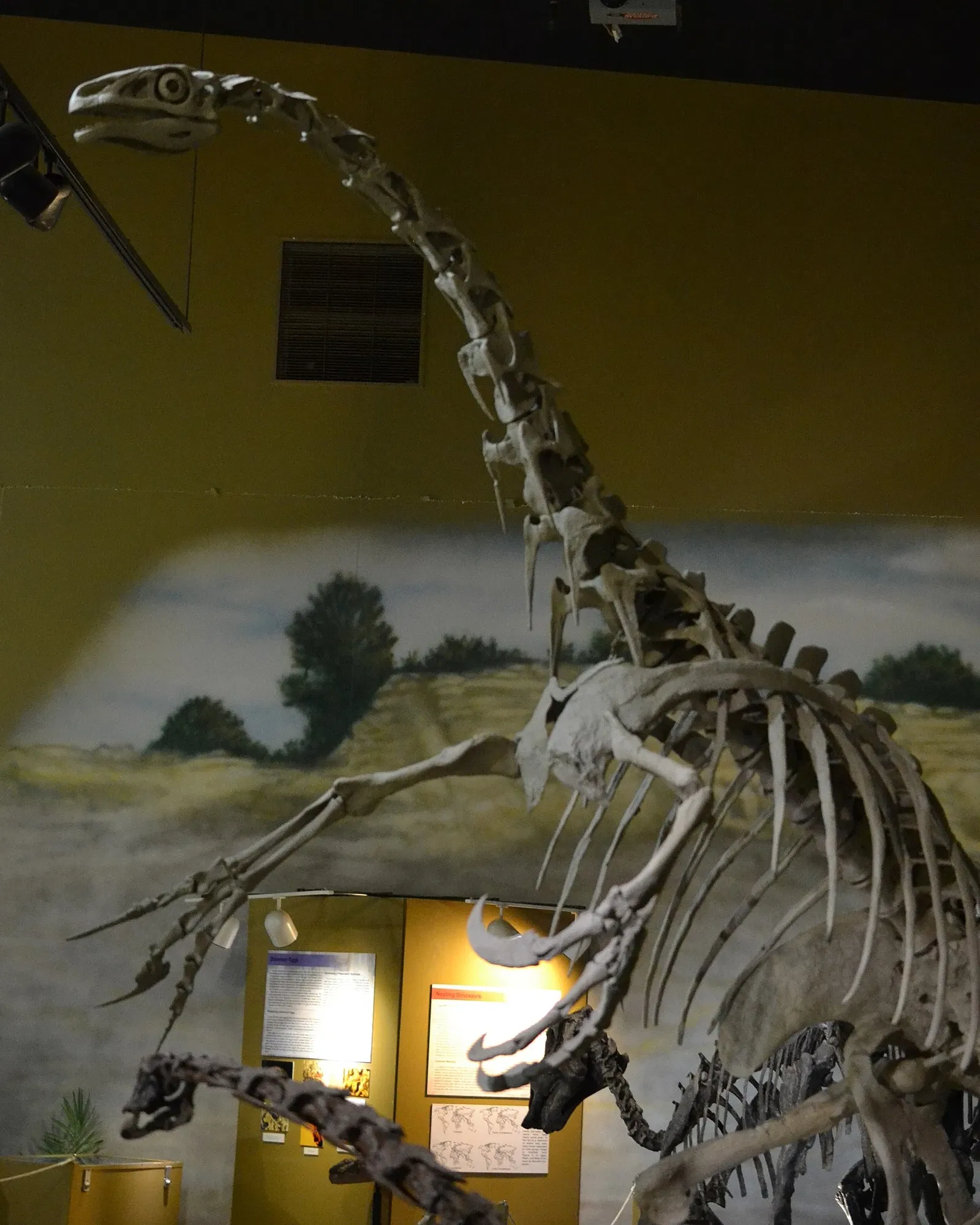 Wyoming Dinosaur Center