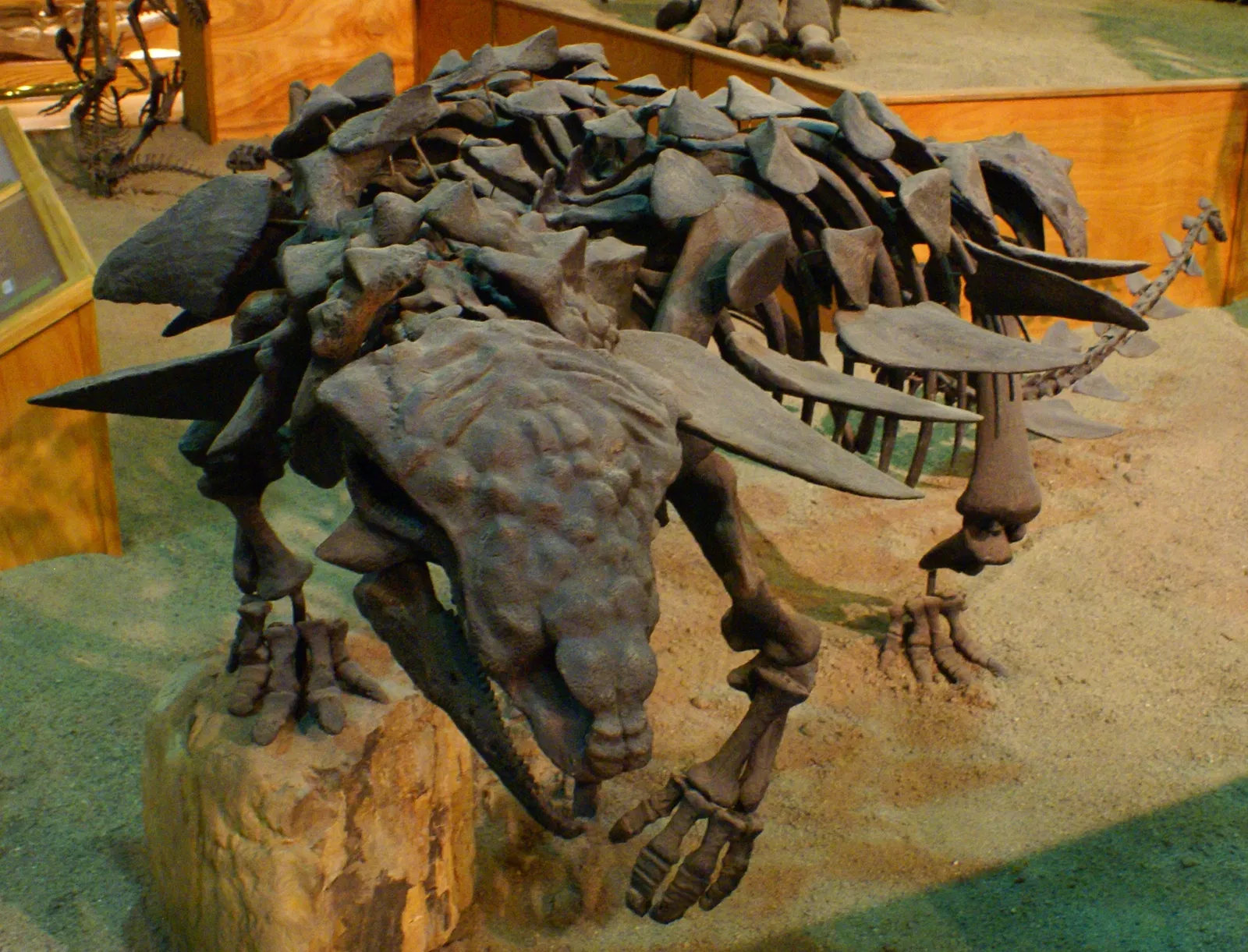 Wyoming Dinosaur Center
