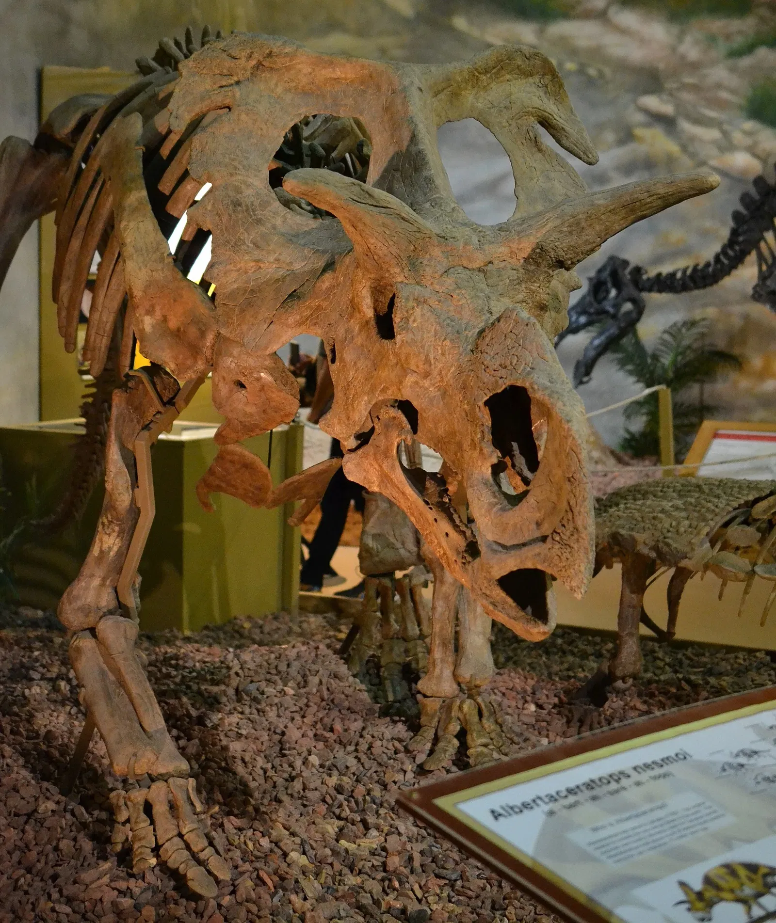 Wyoming Dinosaur Center