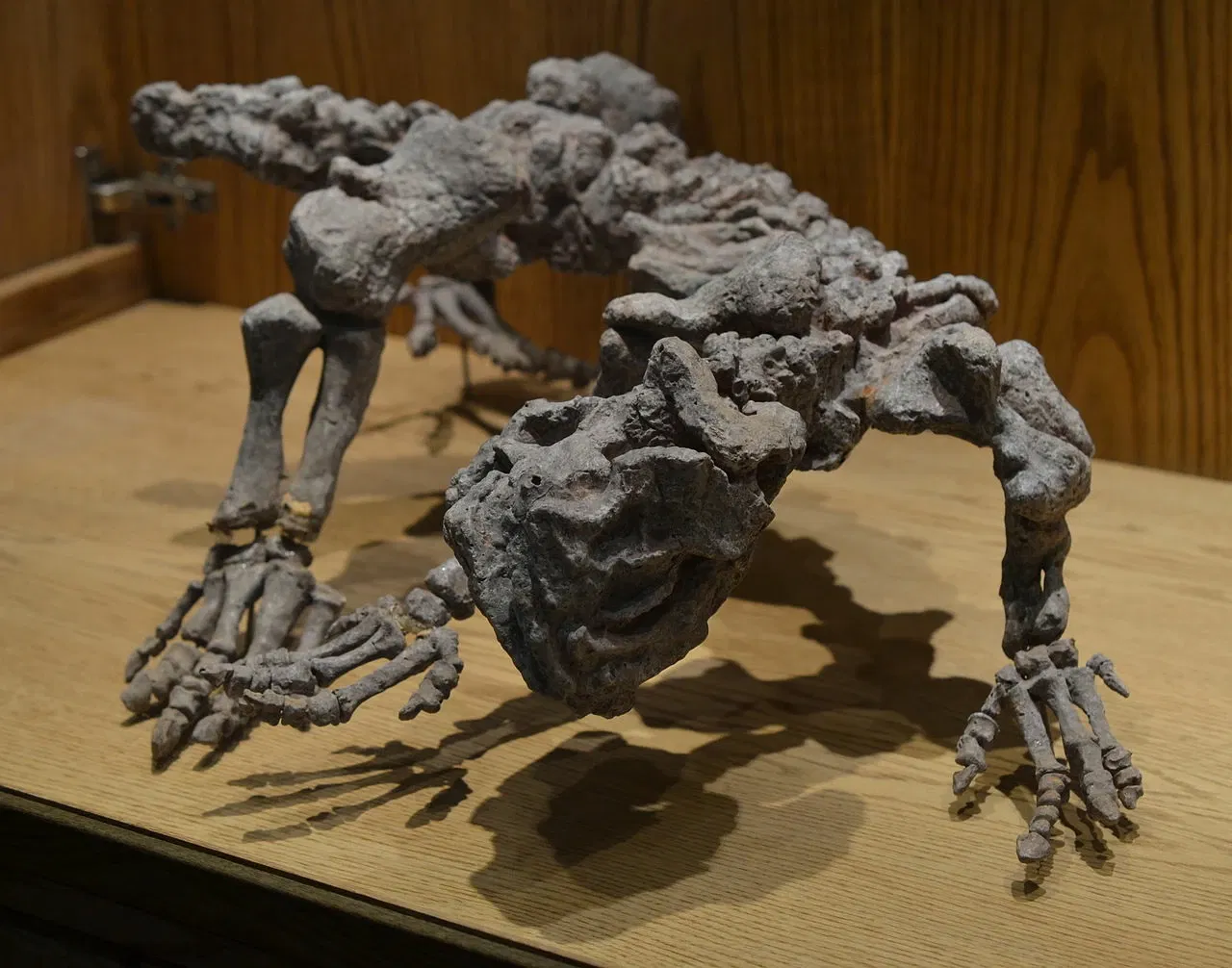 Wyoming Dinosaur Center