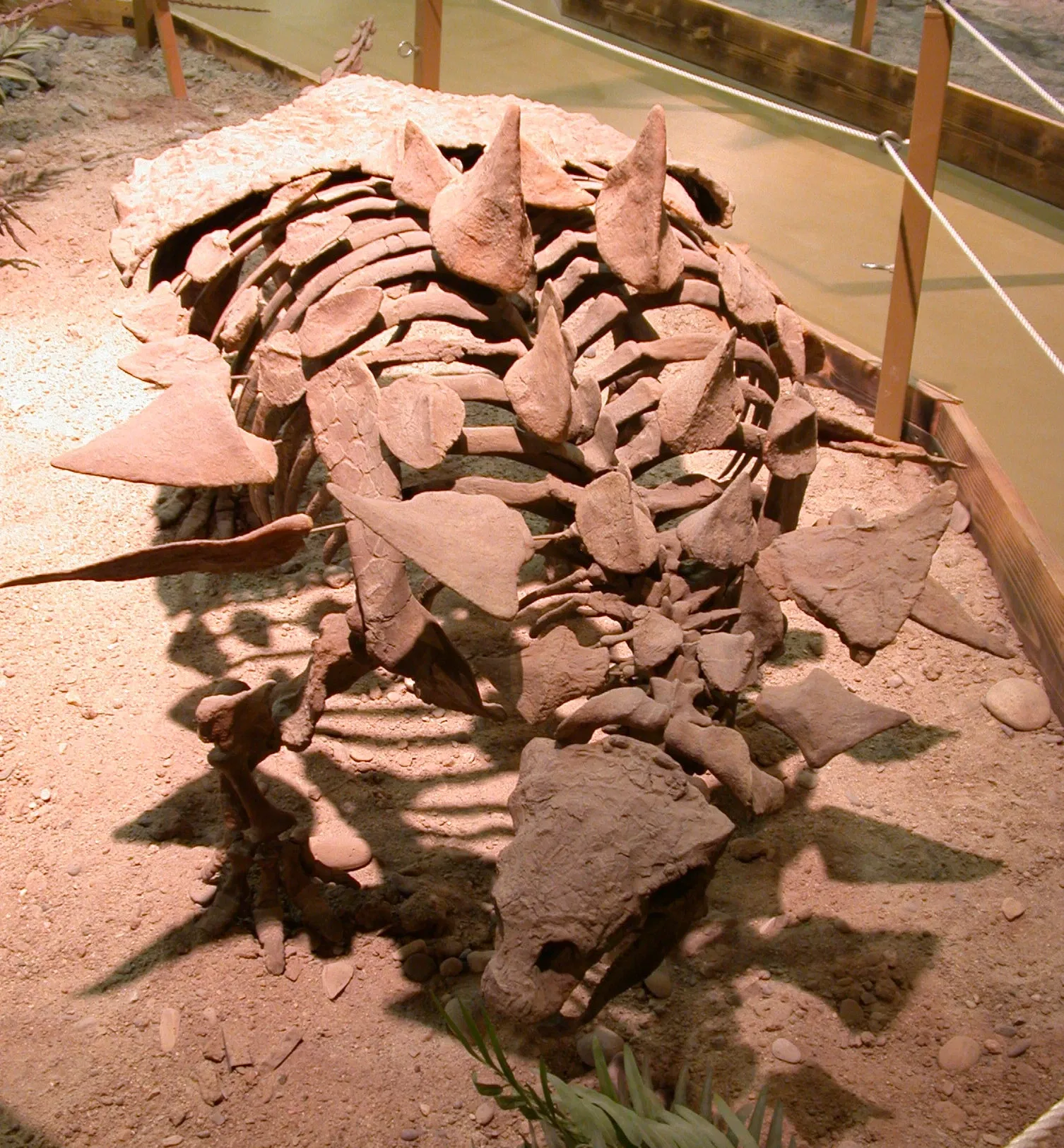 Wyoming Dinosaur Center