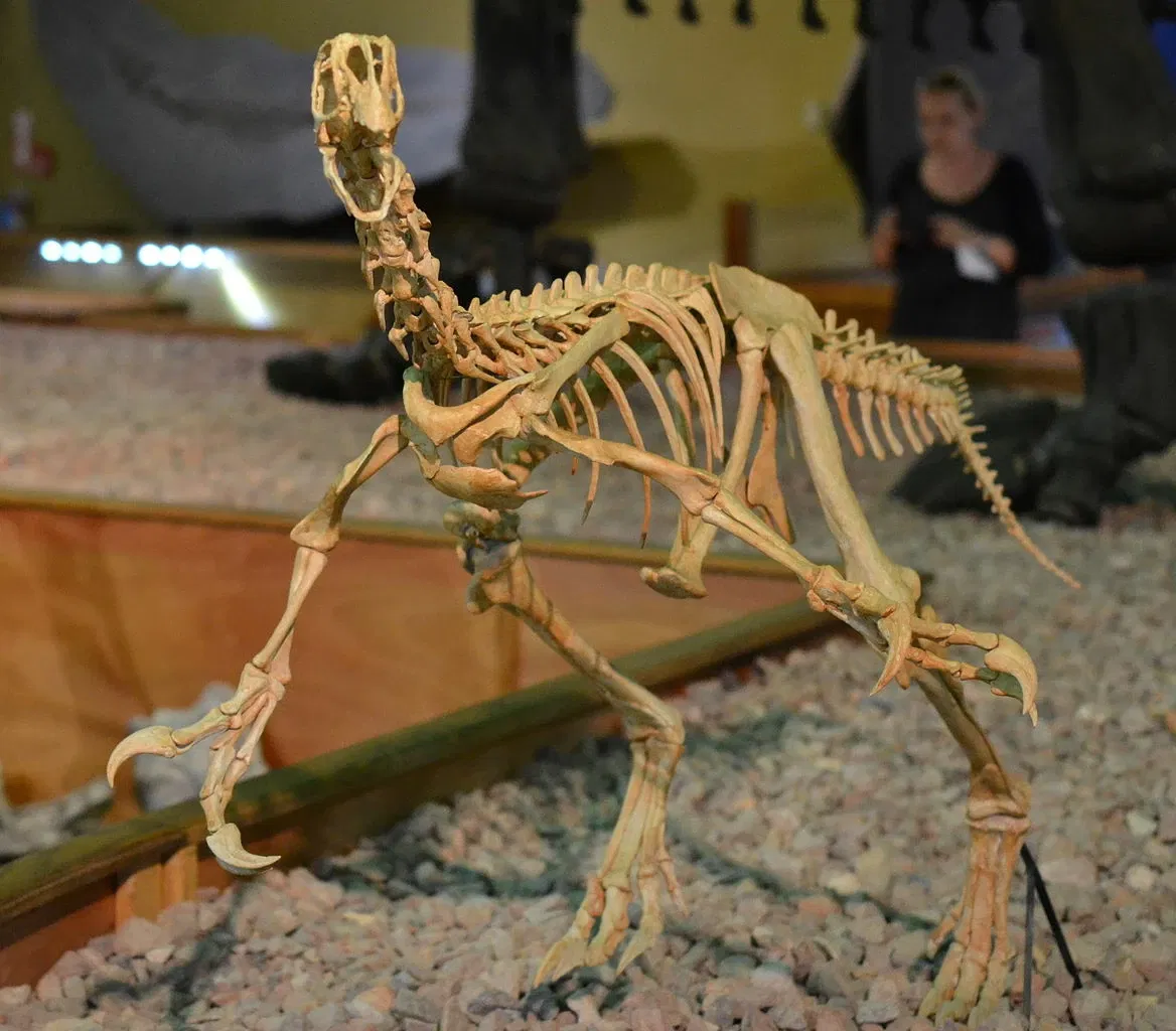 Wyoming Dinosaur Center