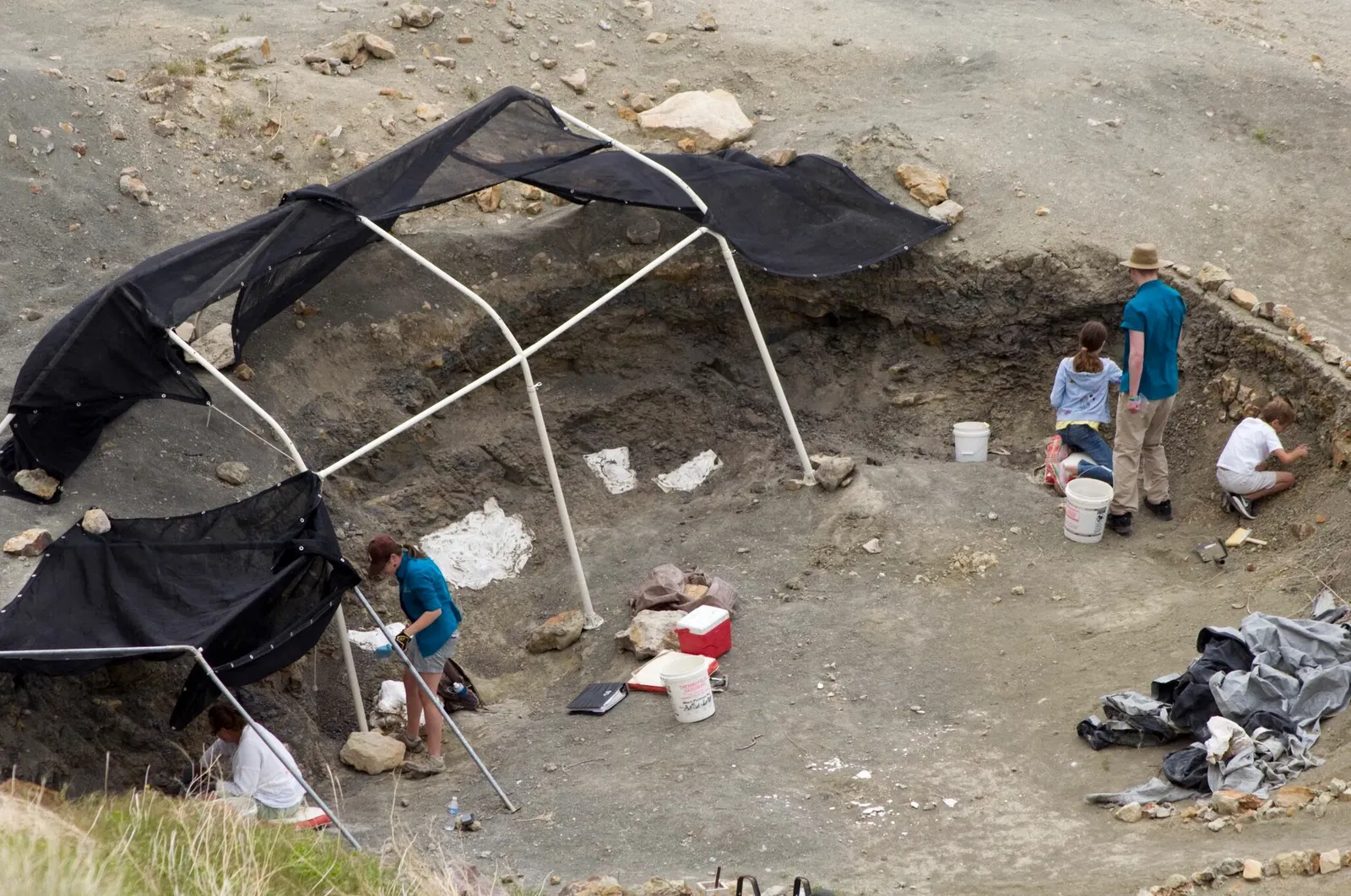 Wyoming Dinosaur Center