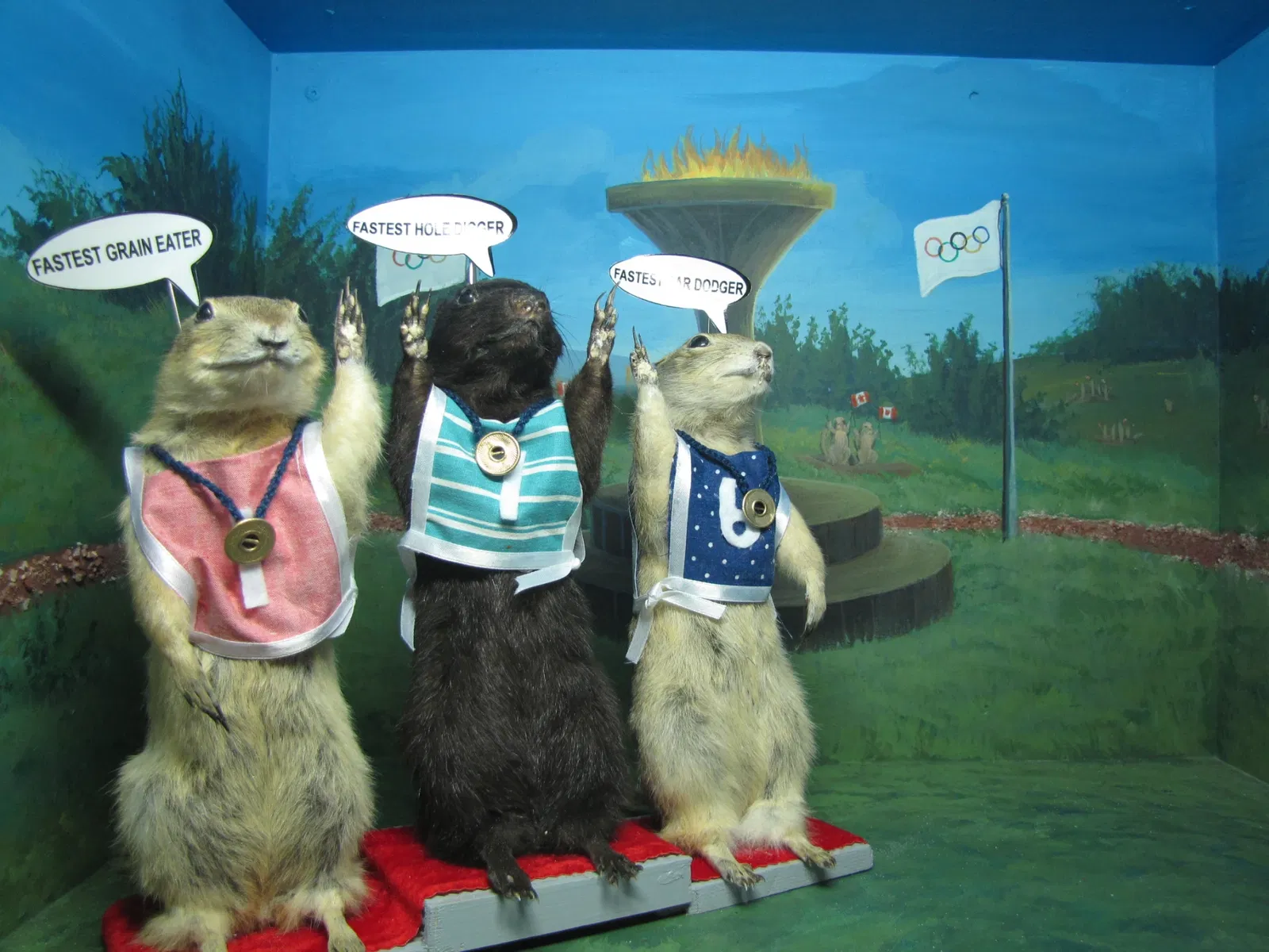 World Famous Gopher Hole Museum