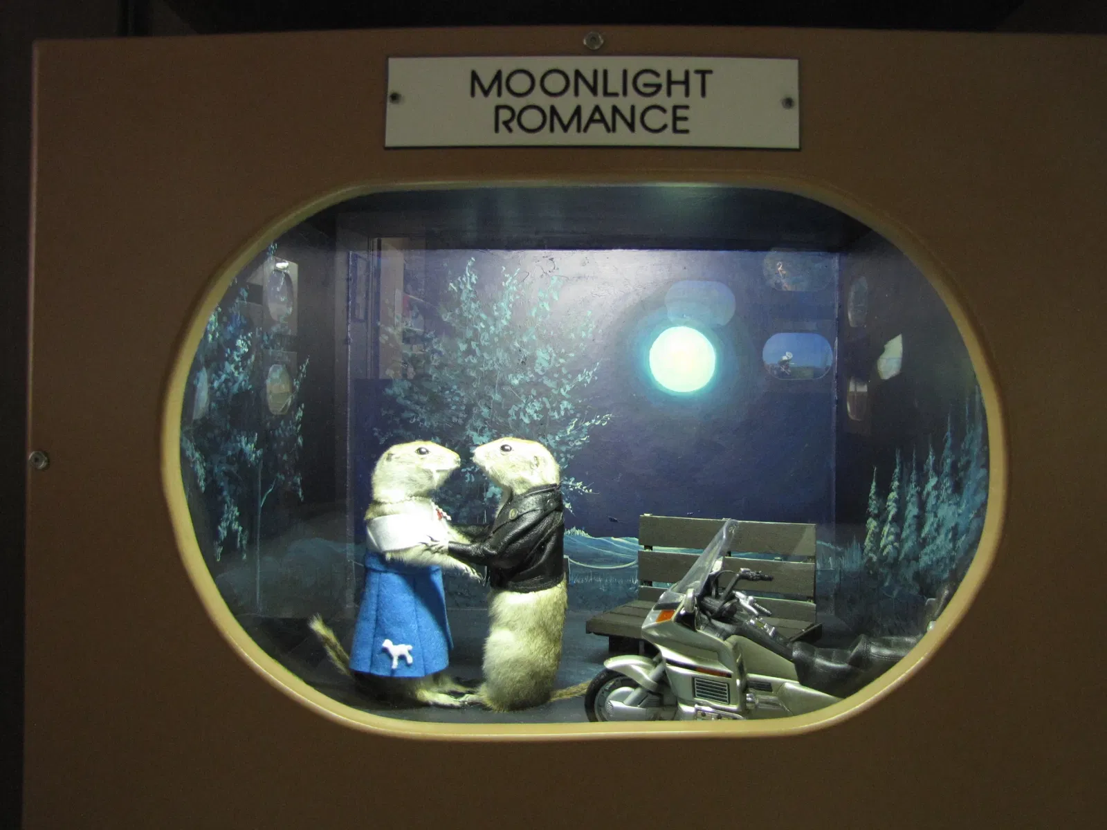 World Famous Gopher Hole Museum