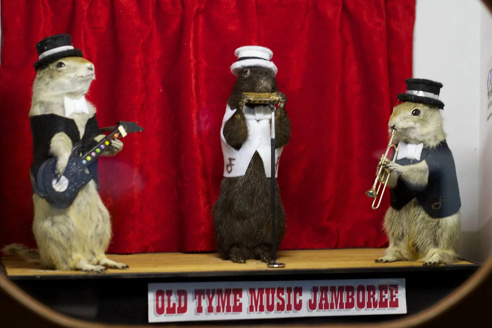 World Famous Gopher Hole Museum