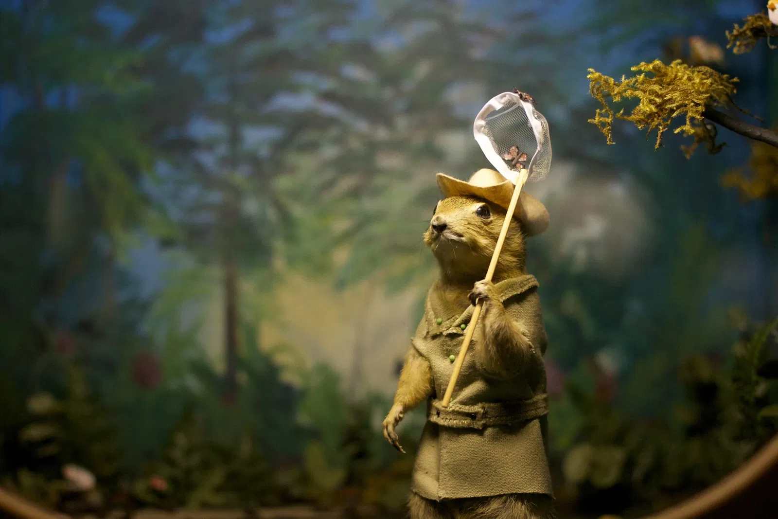 World Famous Gopher Hole Museum