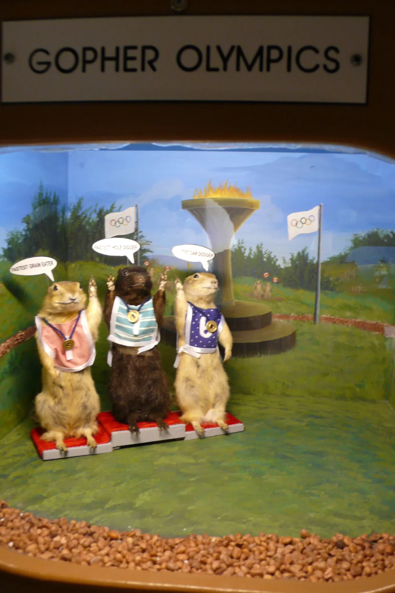 World Famous Gopher Hole Museum