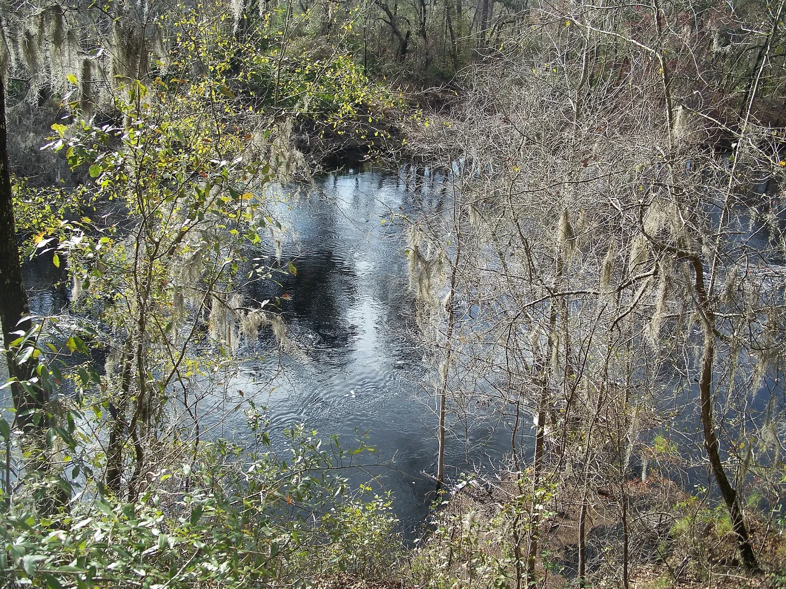 Stephen Foster Folk Culture Center State Park