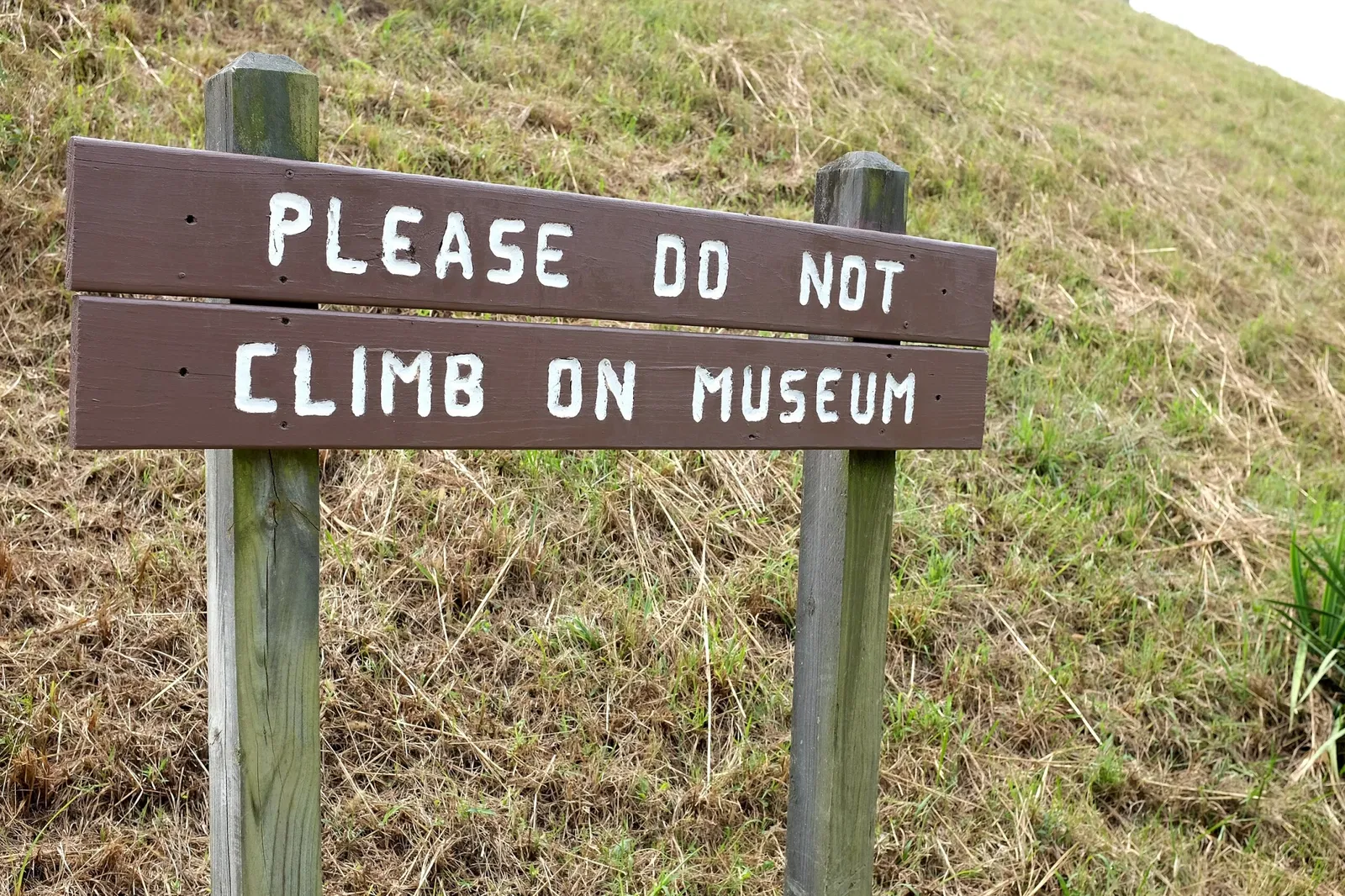 Pinson Mounds State Archaeological Park
