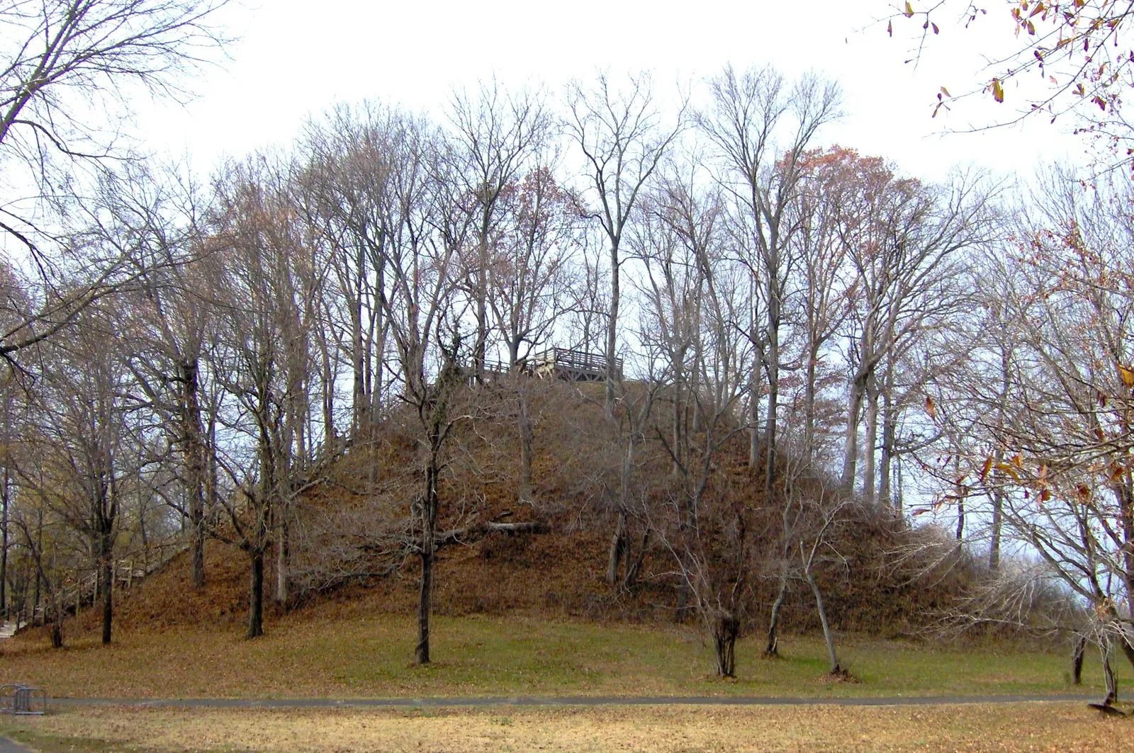 Pinson Mounds State Archaeological Park