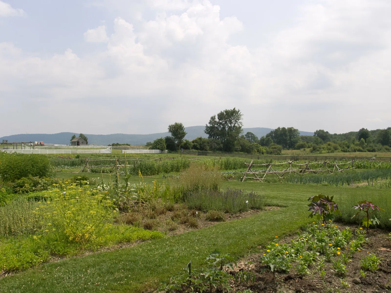 Hancock Shaker Village