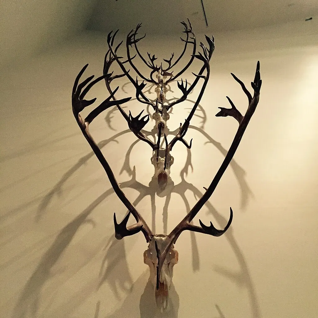 Museo del Nord dell'Università dell'Alaska