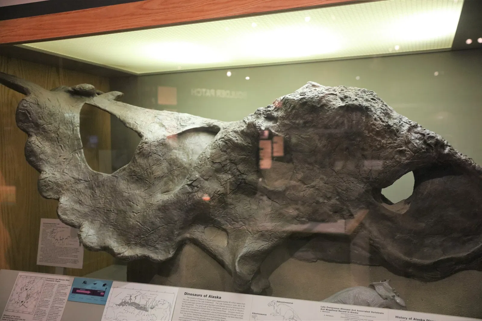 University of Alaska Museum of the North