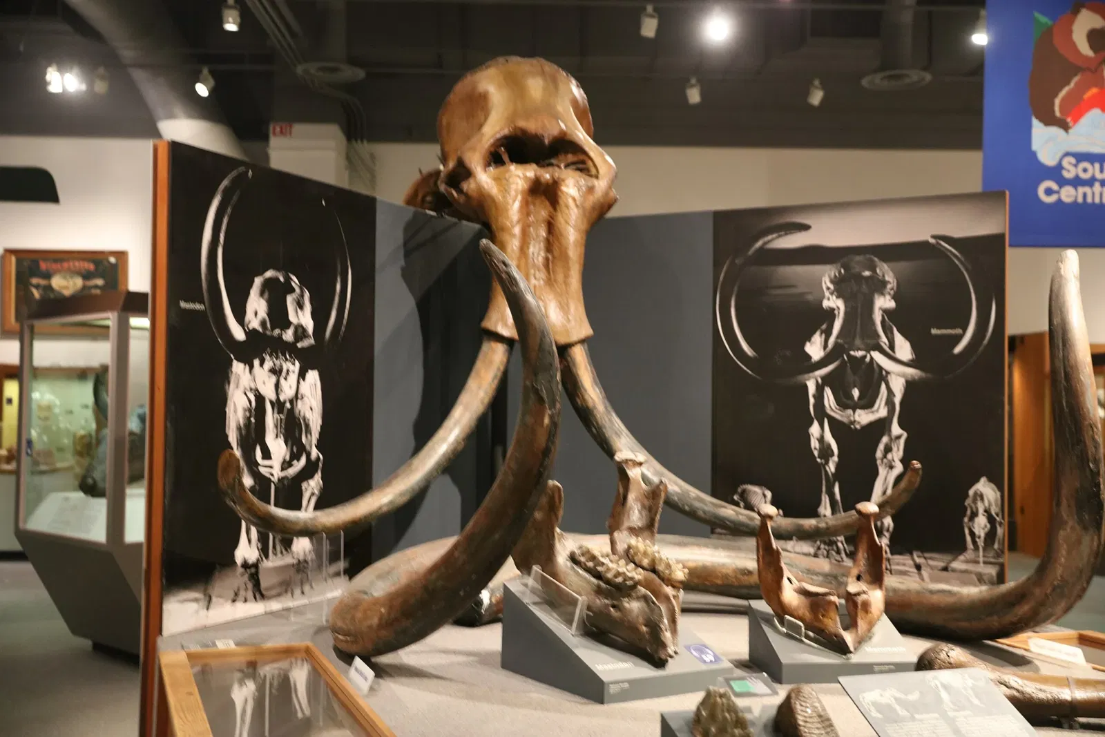 Museo del Nord dell'Università dell'Alaska