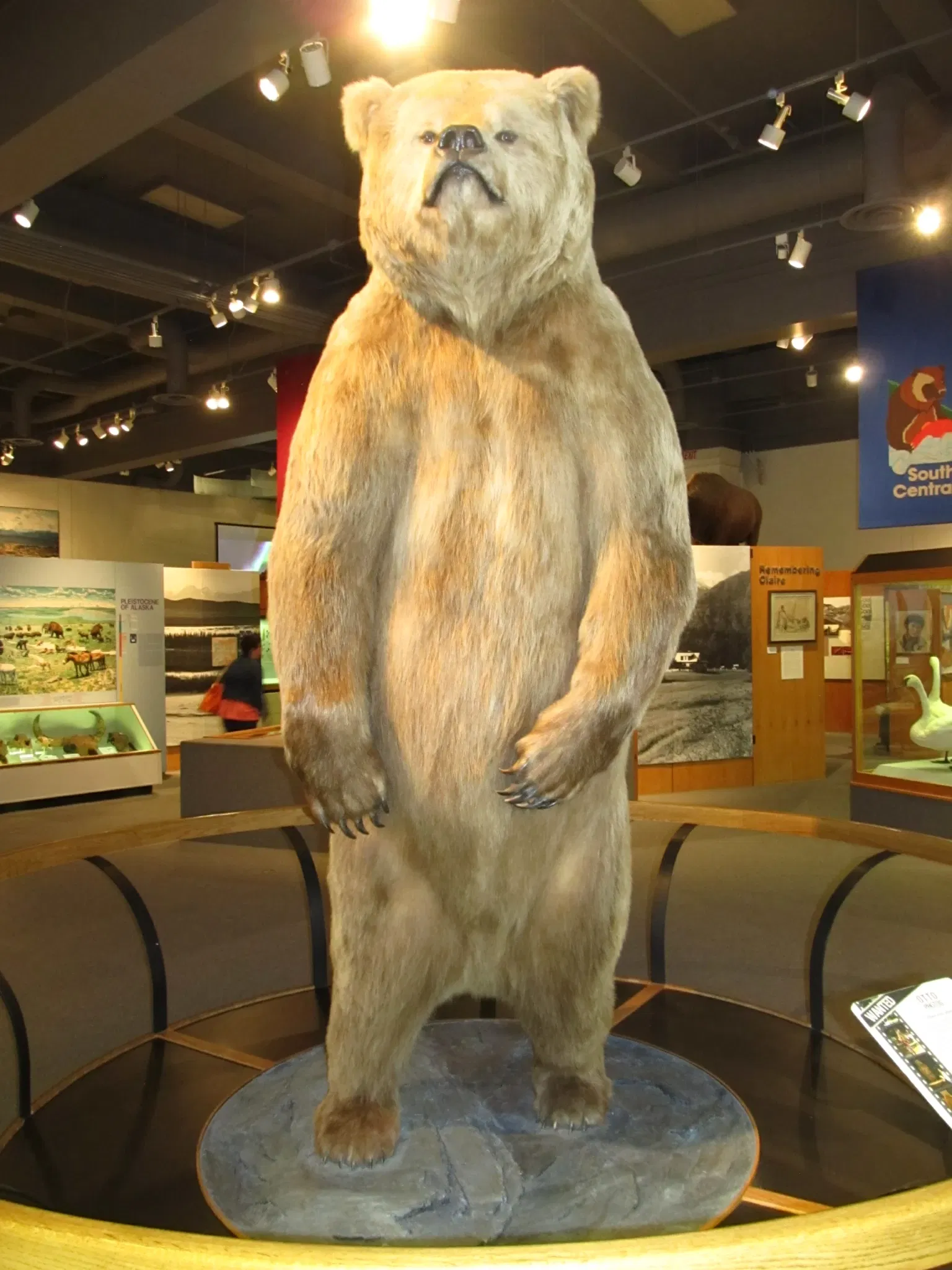 Museo del Nord dell'Università dell'Alaska