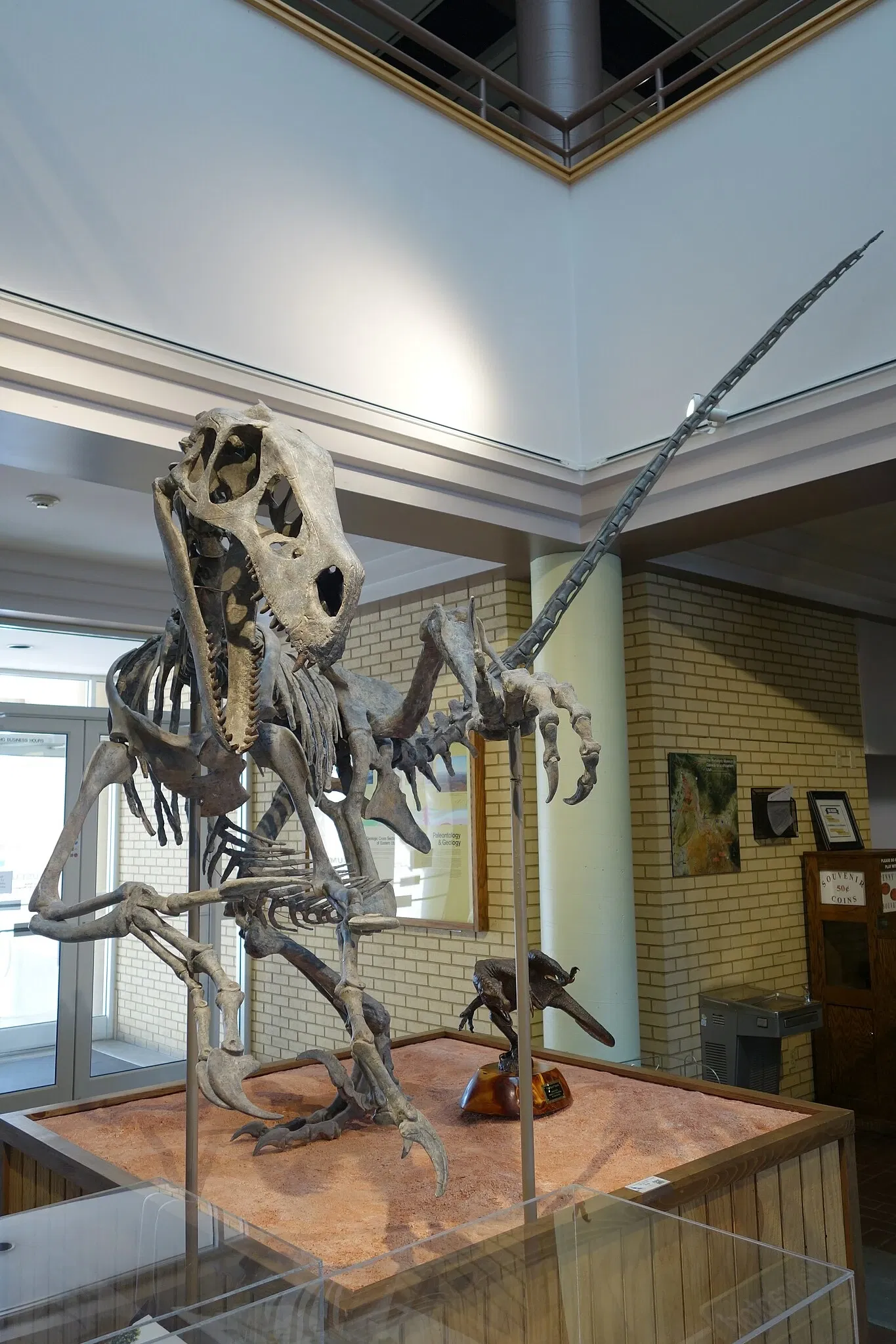 USU Eastern Prehistoric Museum