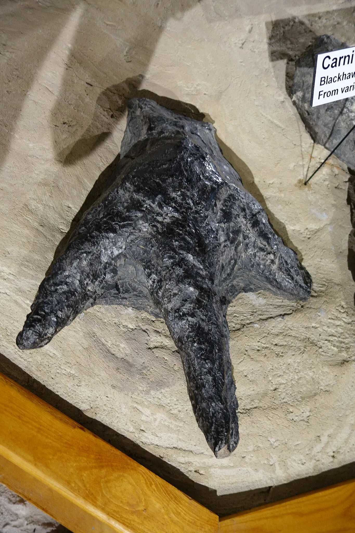 USU Eastern Prehistoric Museum