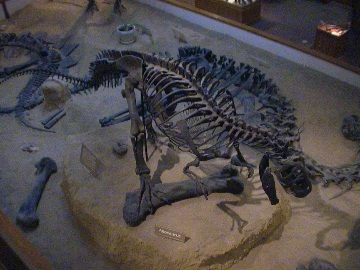 USU Eastern Prehistoric Museum