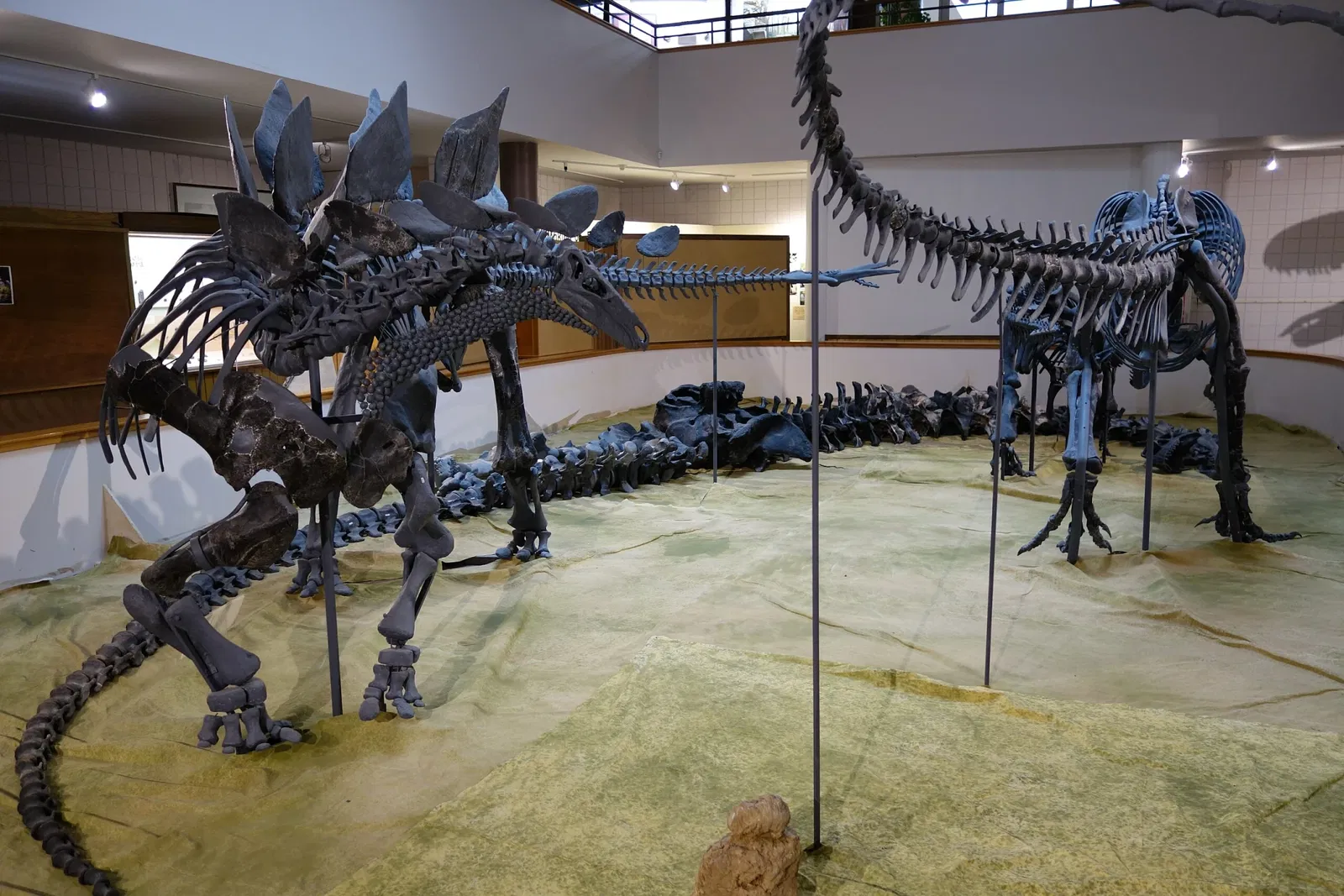 USU Eastern Prehistoric Museum