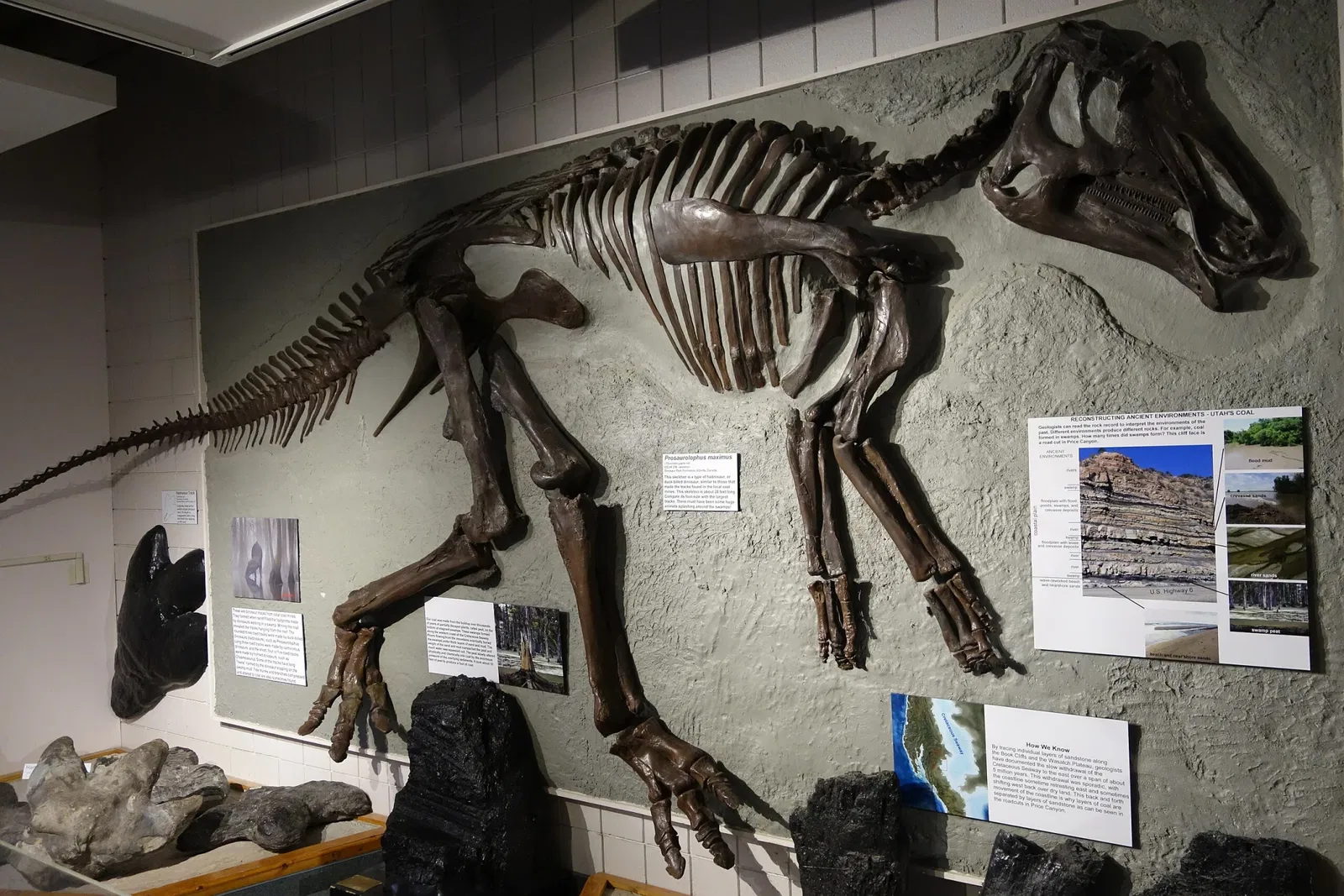 USU Eastern Prehistoric Museum