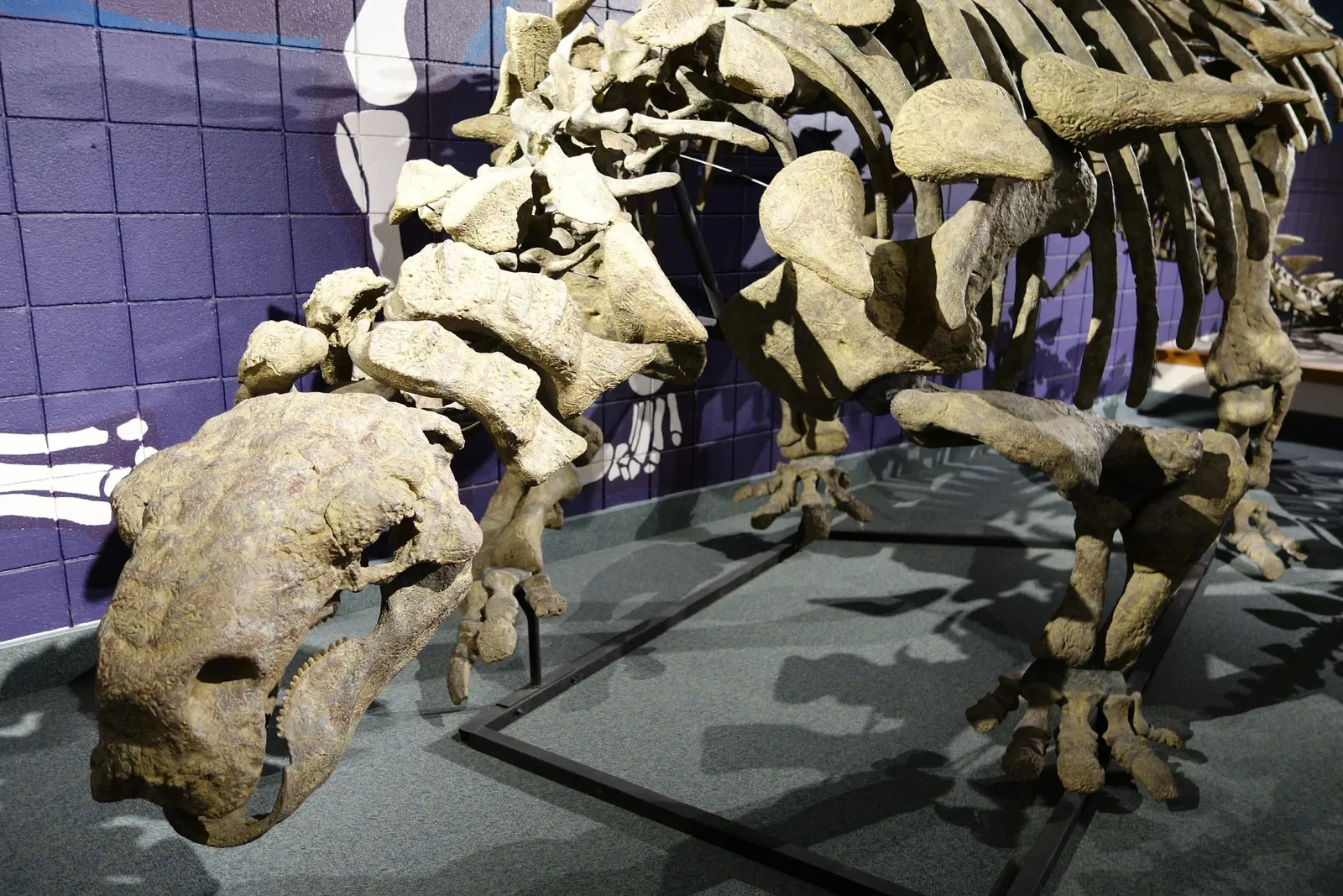 USU Eastern Prehistoric Museum