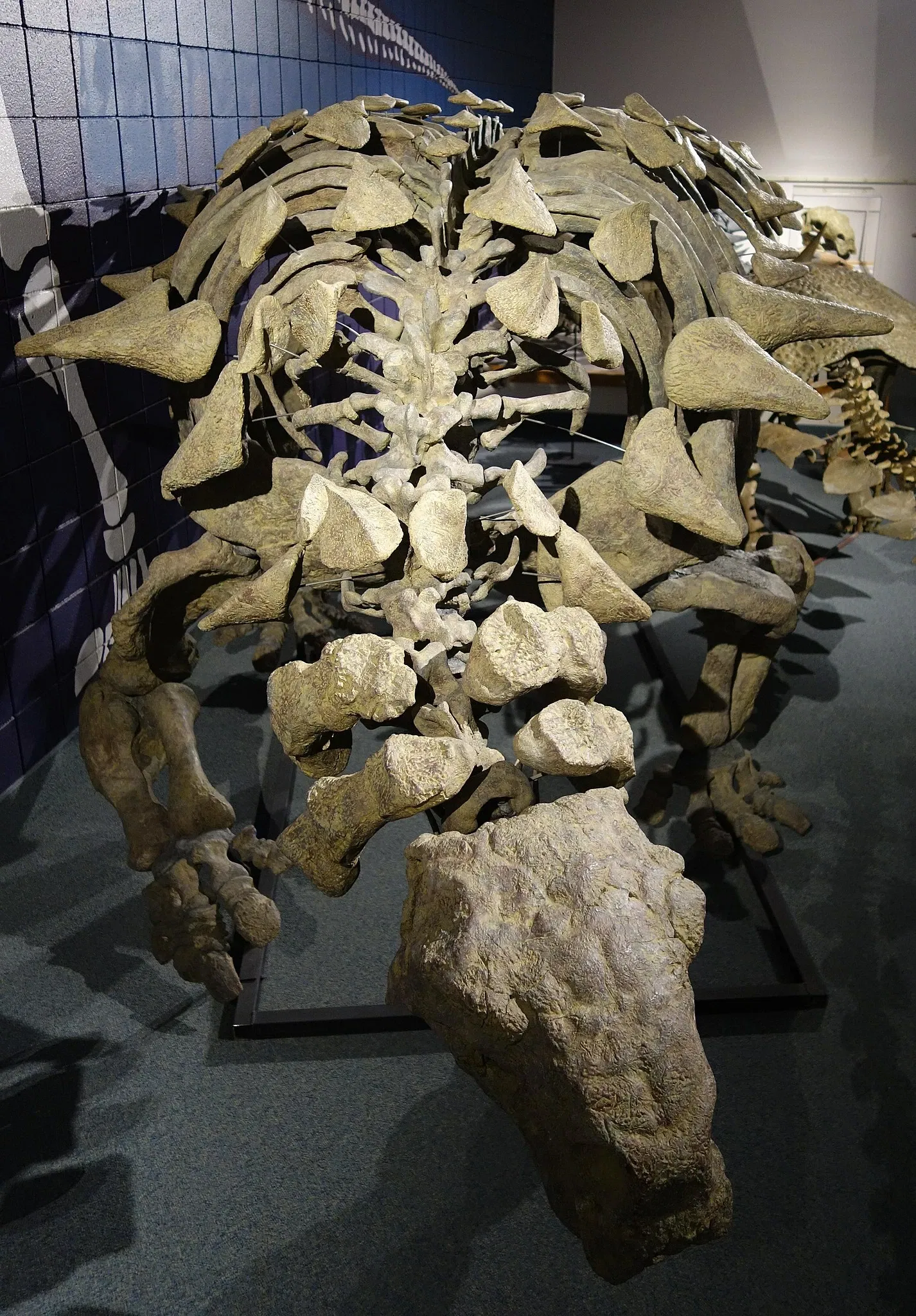 USU Eastern Prehistoric Museum