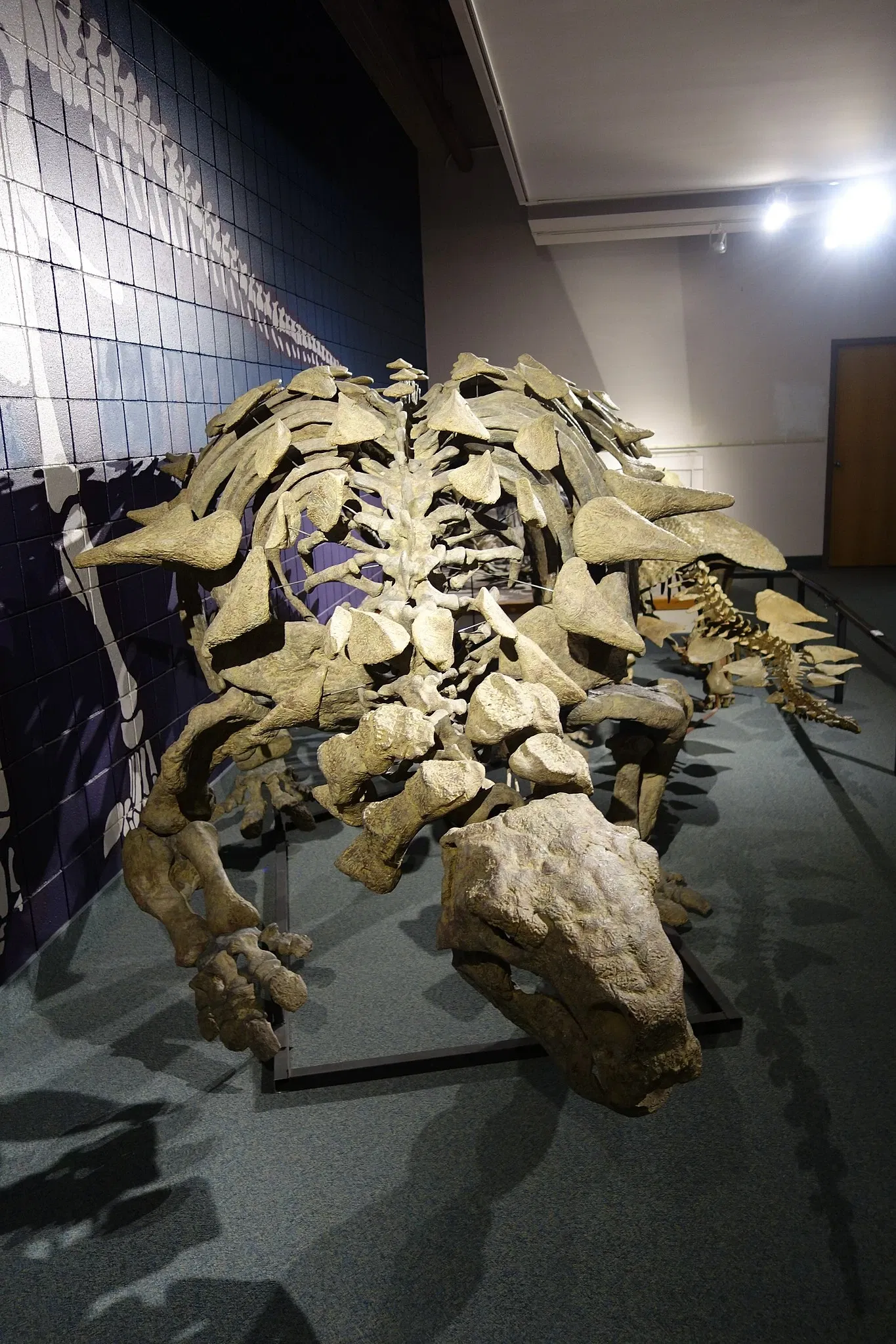 USU Eastern Prehistoric Museum