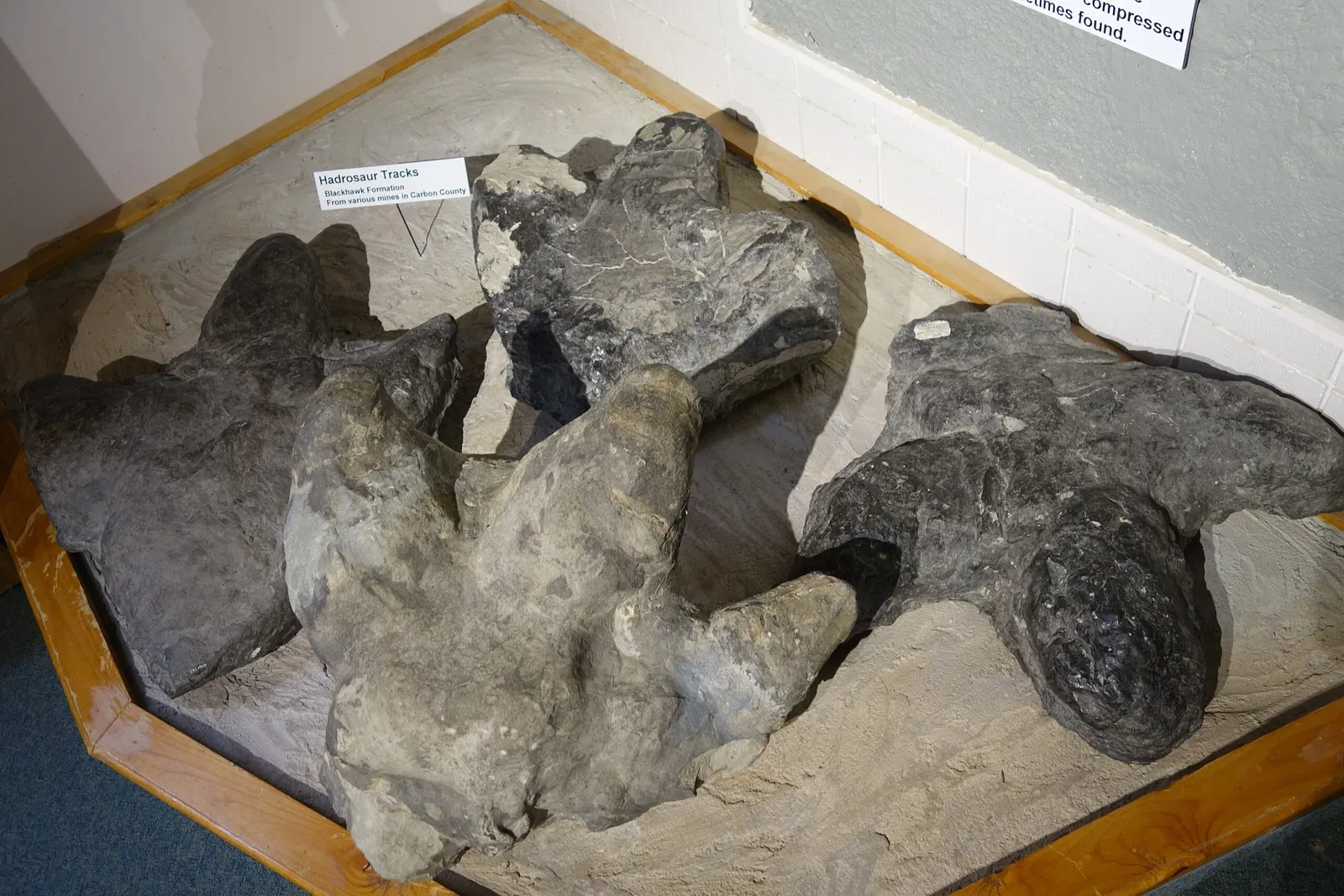 USU Eastern Prehistoric Museum
