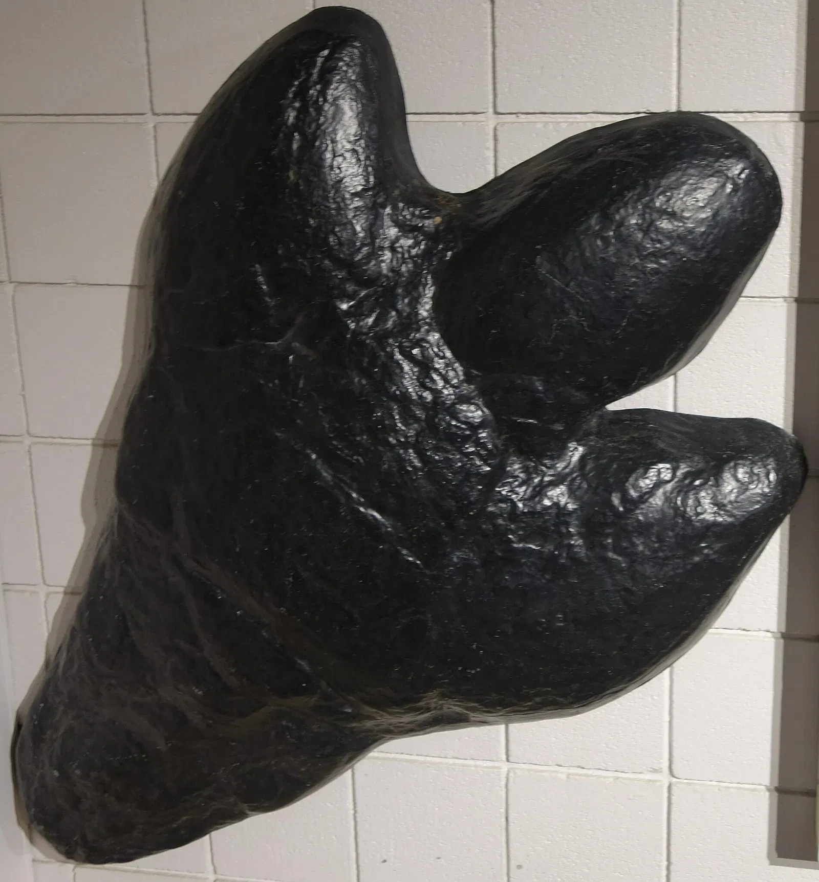 USU Eastern Prehistoric Museum