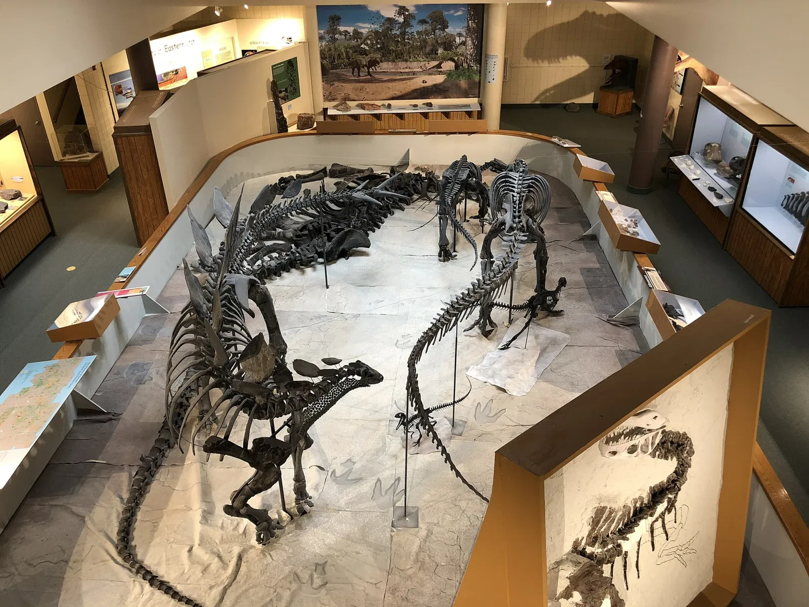 USU Eastern Prehistoric Museum
