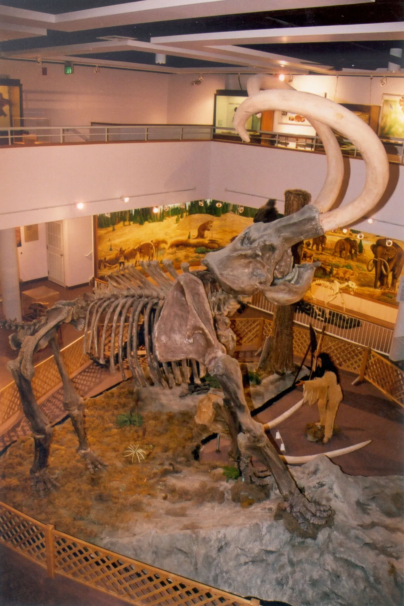 USU Eastern Prehistoric Museum