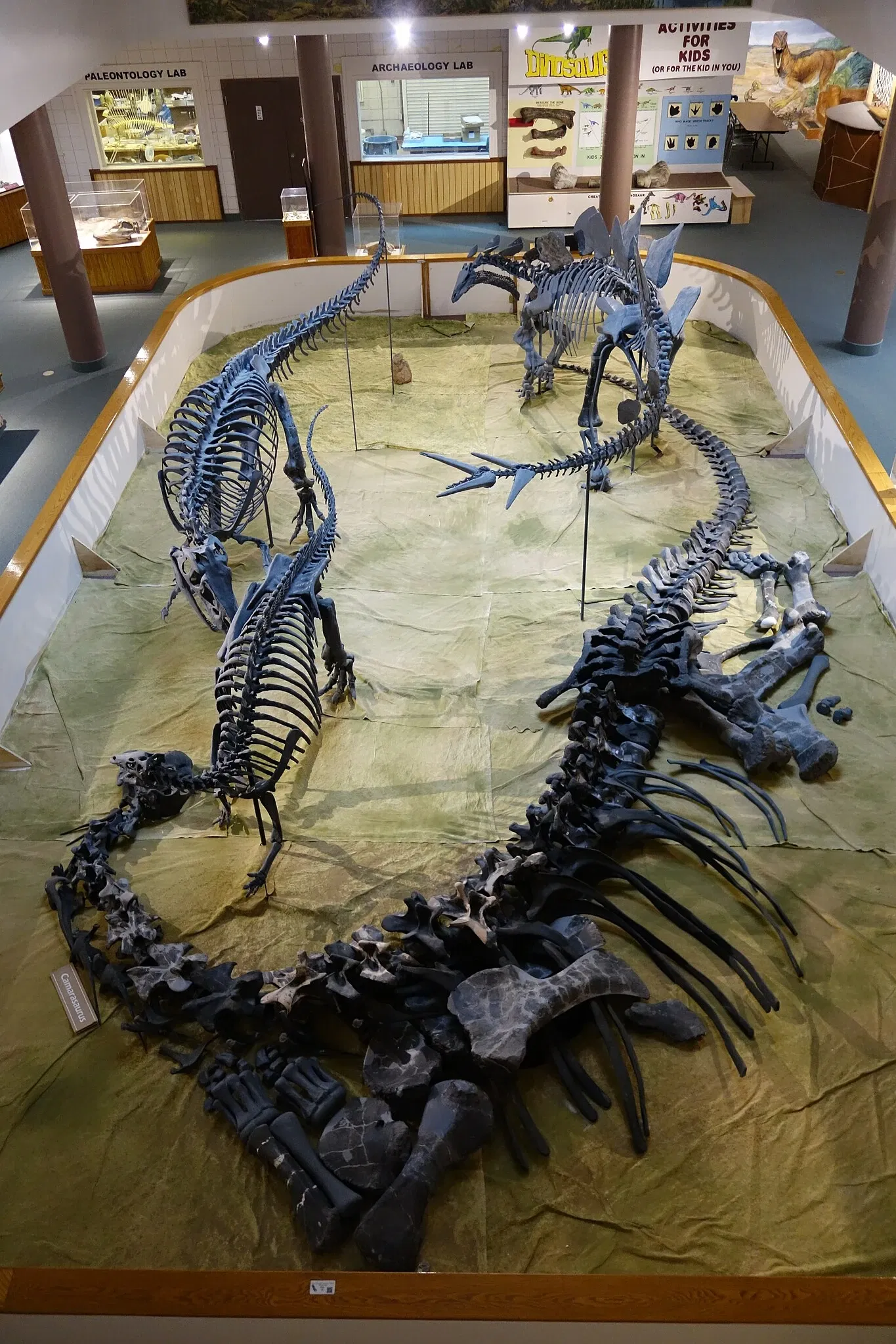 USU Eastern Prehistoric Museum