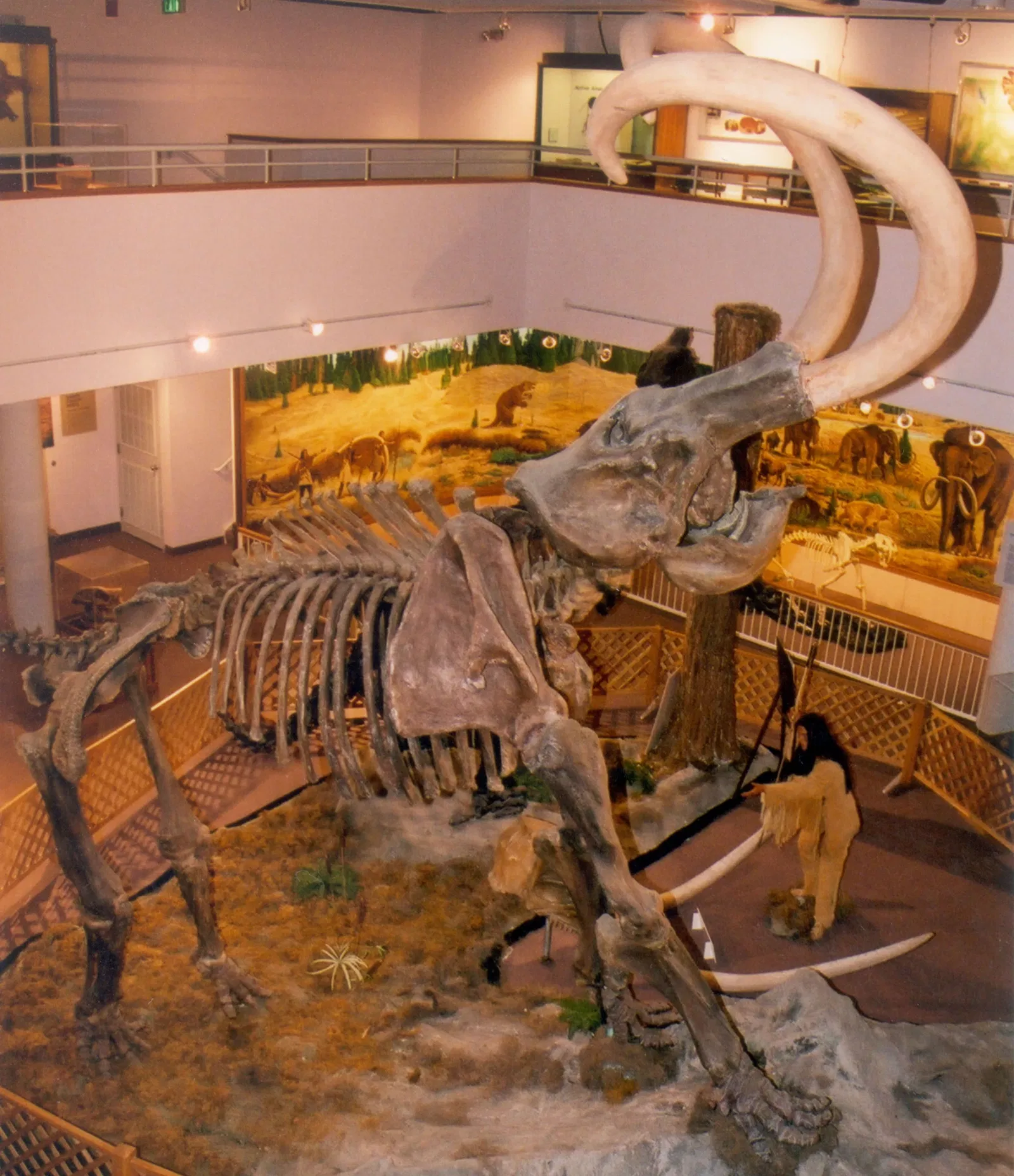 USU Eastern Prehistoric Museum
