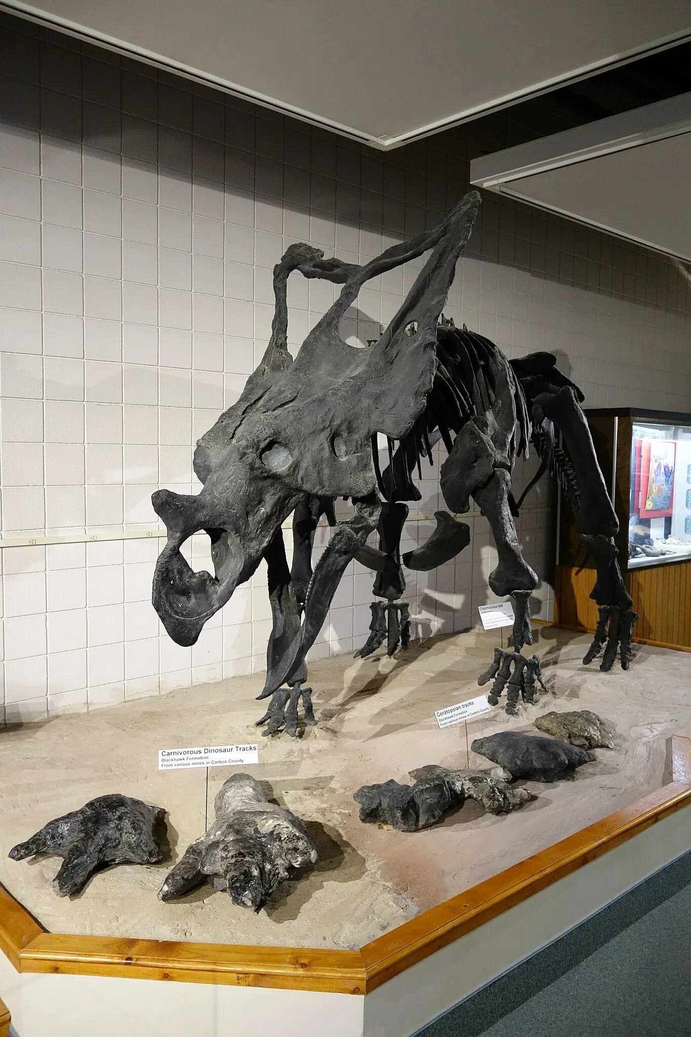 USU Eastern Prehistoric Museum