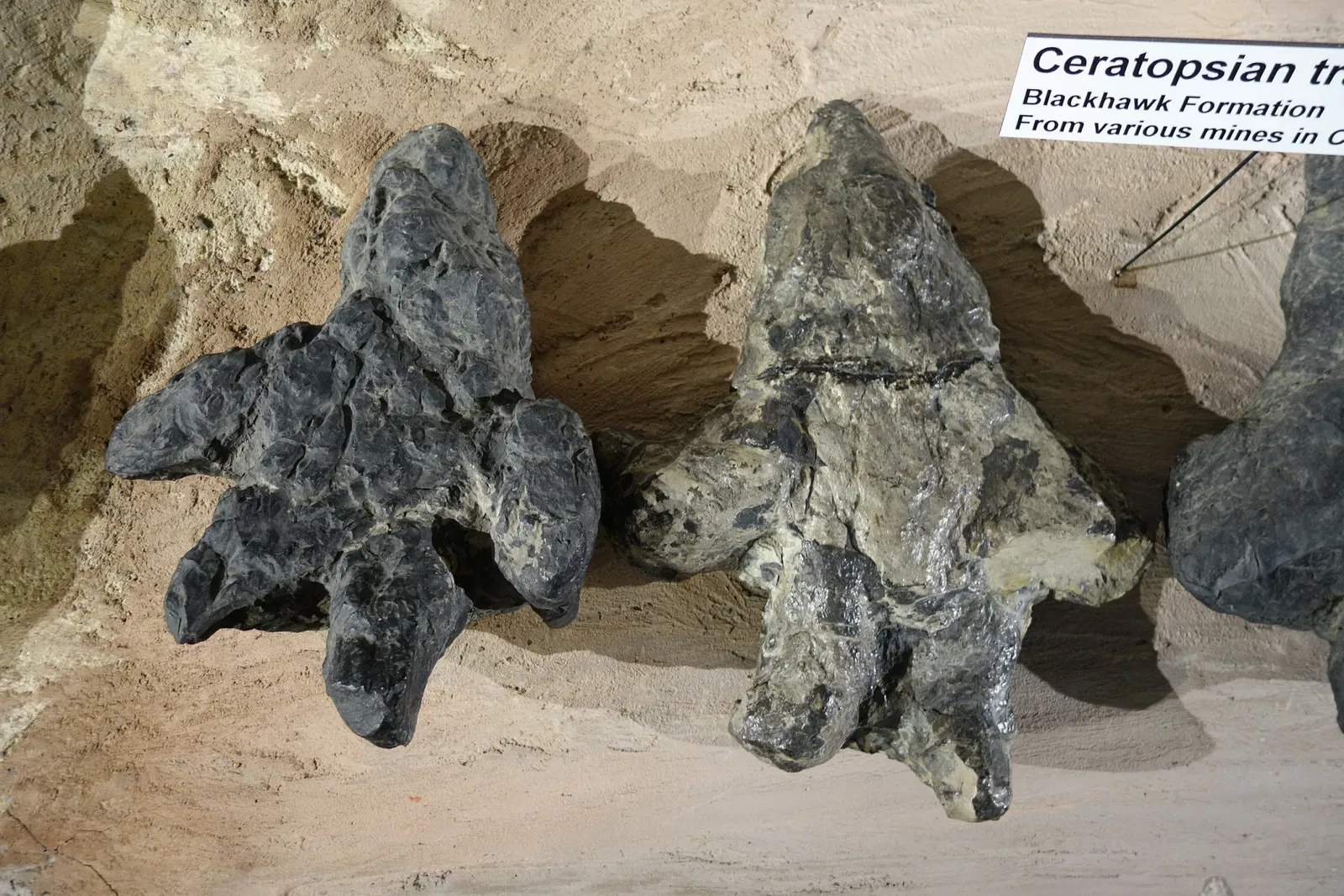 USU Eastern Prehistoric Museum