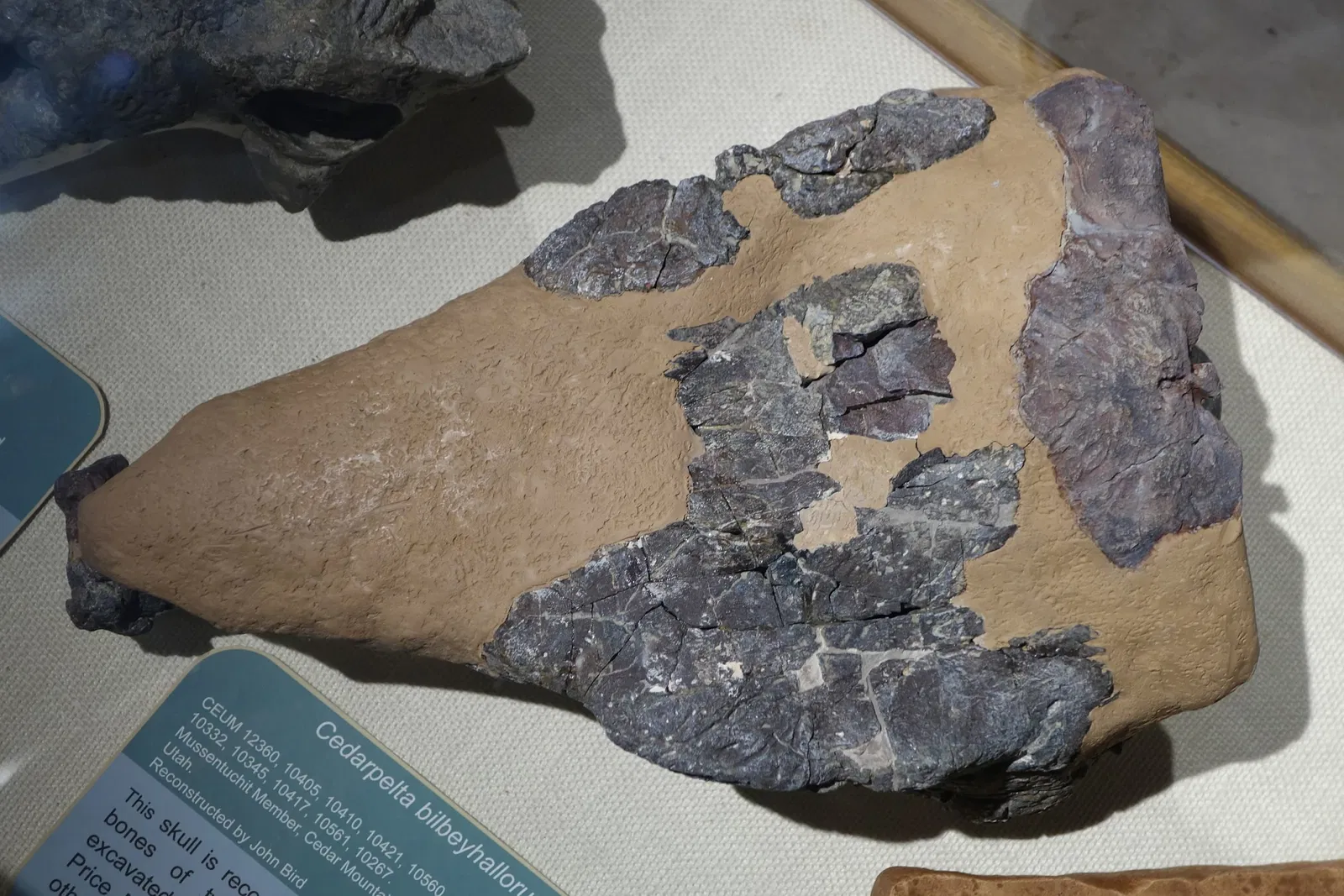 USU Eastern Prehistoric Museum