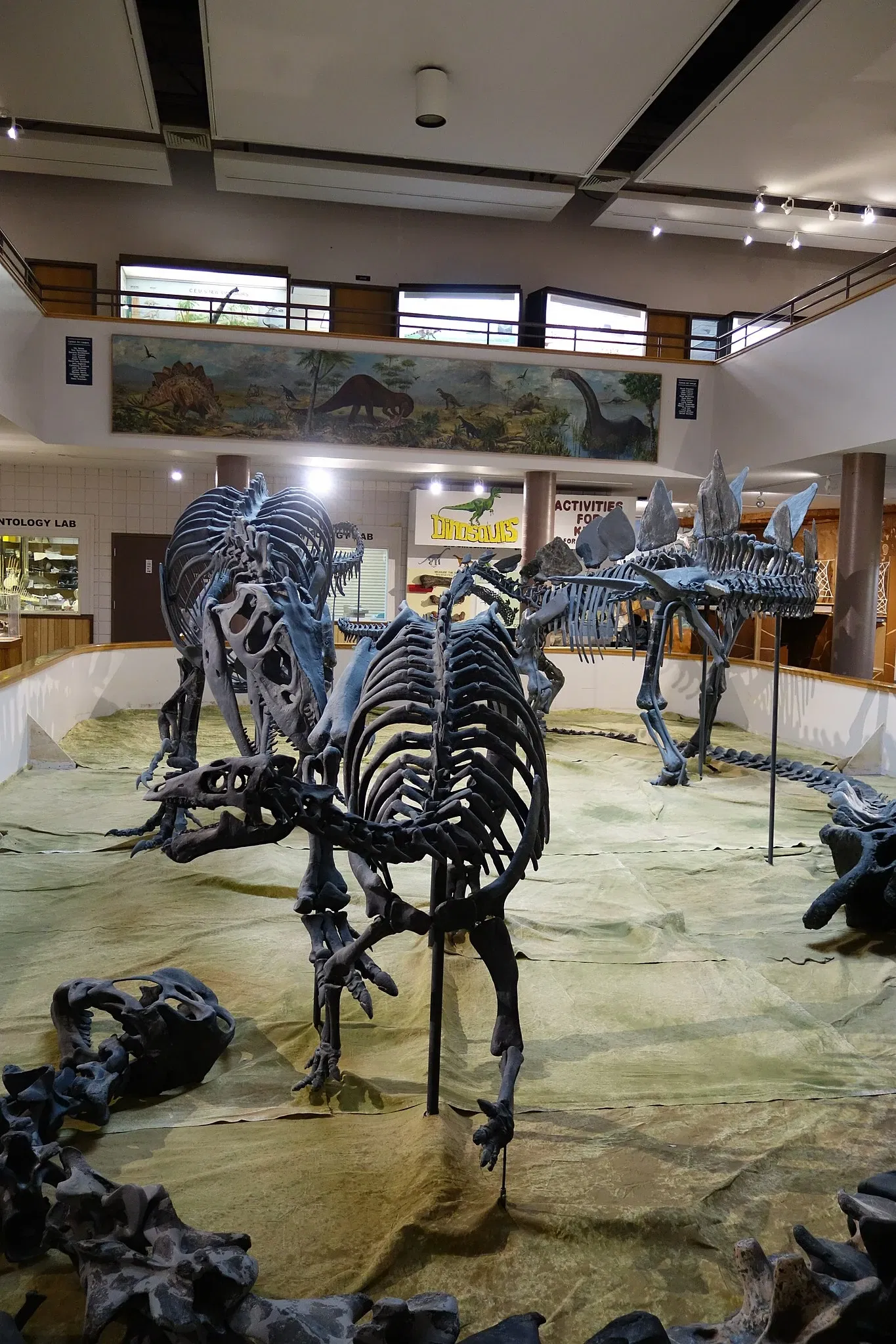 USU Eastern Prehistoric Museum