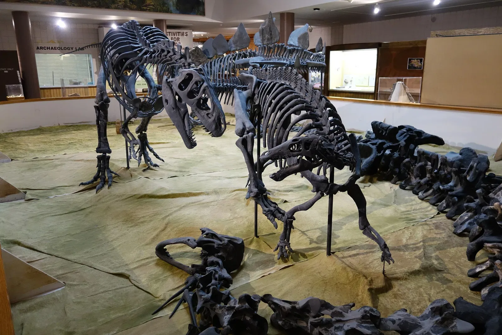 USU Eastern Prehistoric Museum