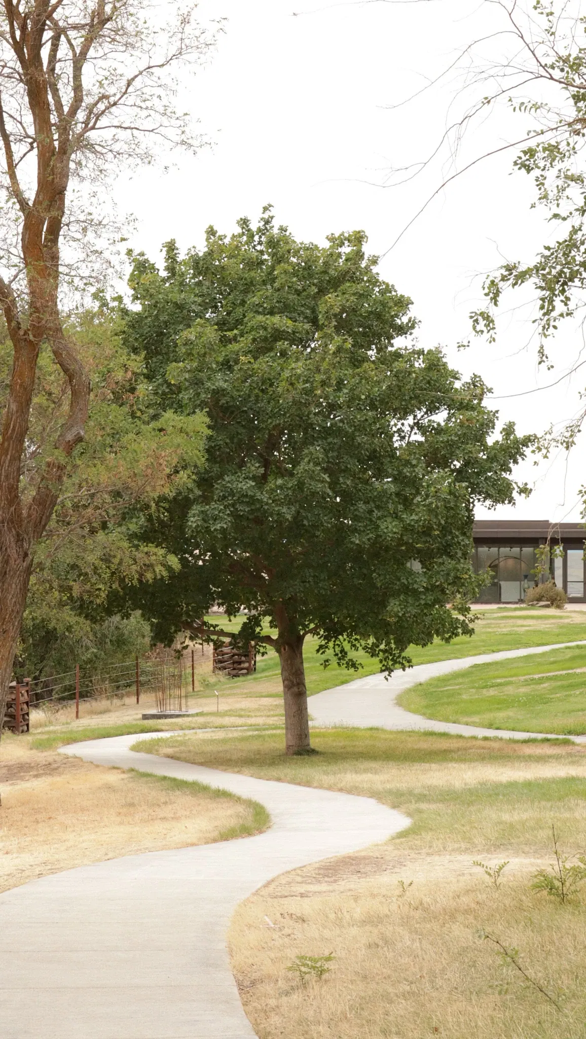 Maryhill Museum of Art