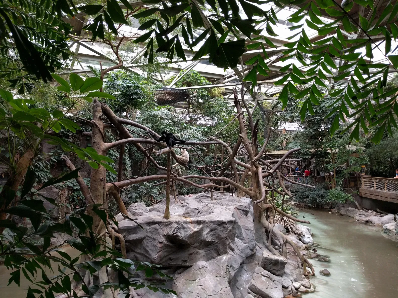 Minnesota Zoo