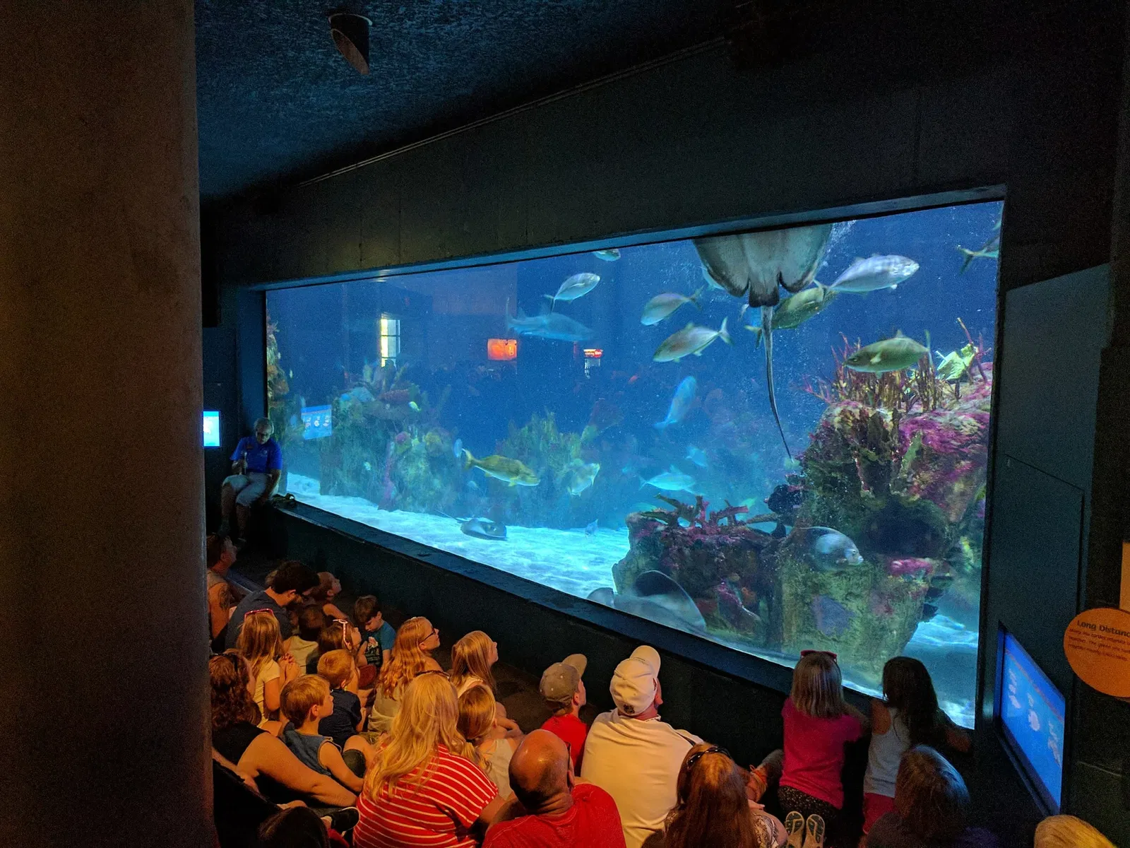 Zoológico de Minnesota